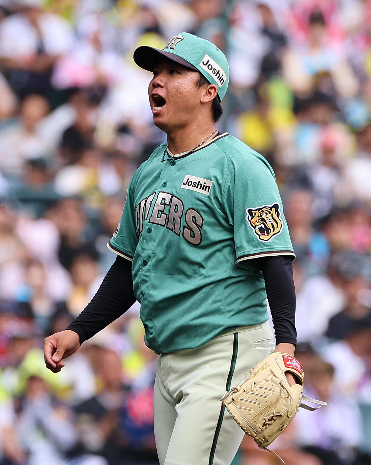 阪神対楽天　4回表楽天2死一塁、村林一輝から三振を奪い雄たけびを上げる村上頌樹（撮影・上田博志）