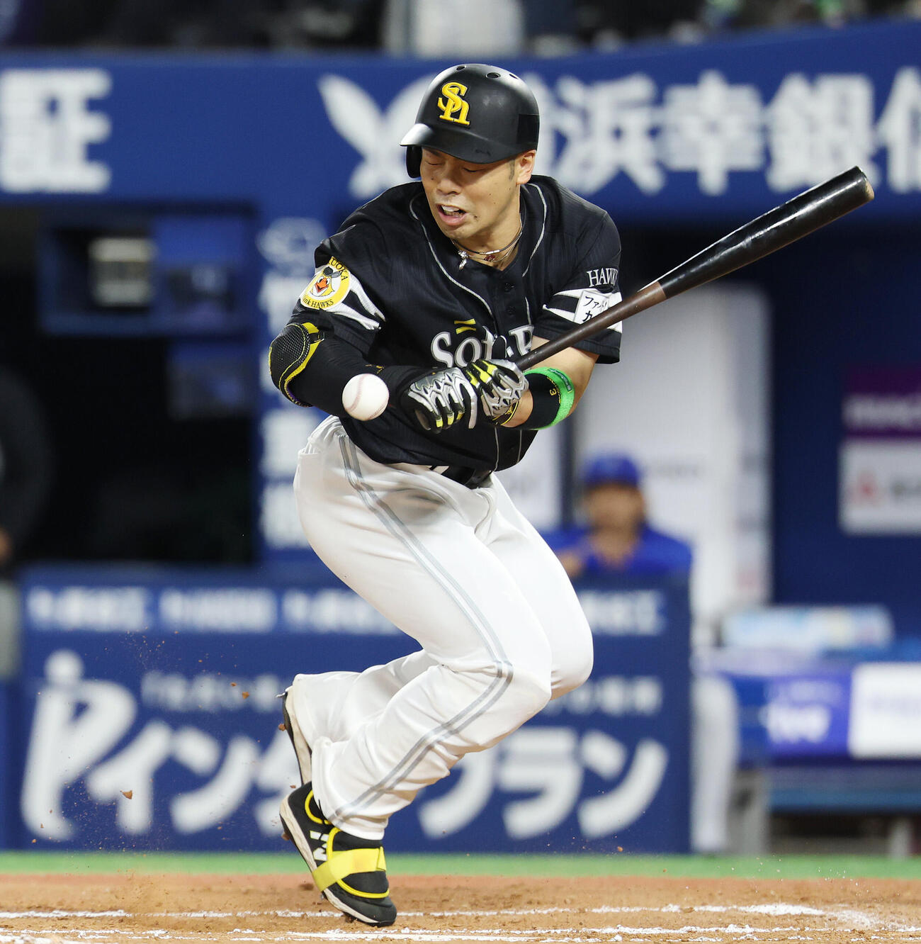ソフトバンク近藤健介（2026年6月撮影）