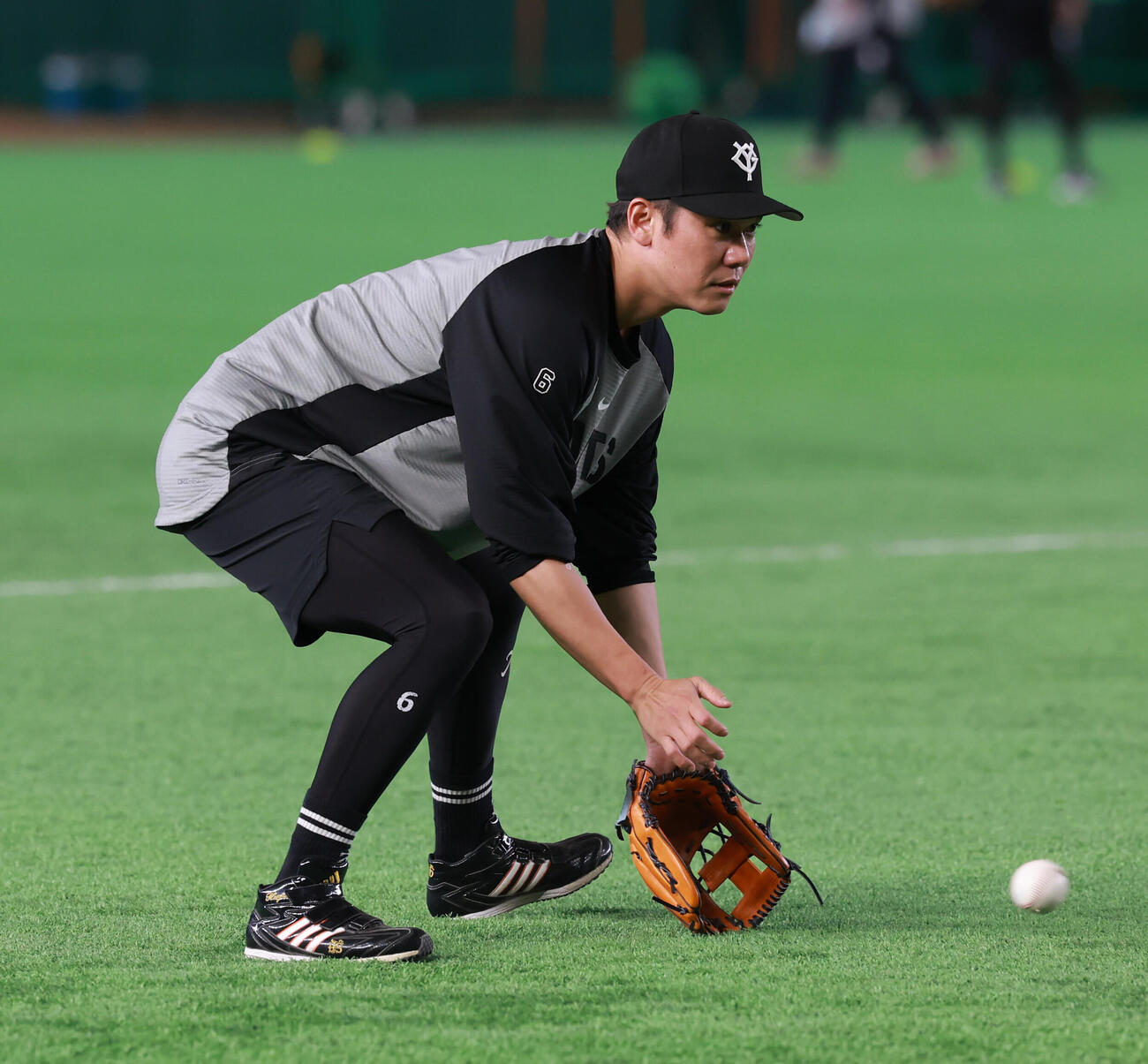 交流戦　巨人対ロッテ　試合前ノックを受ける巨人坂本勇人（撮影・水谷安孝）