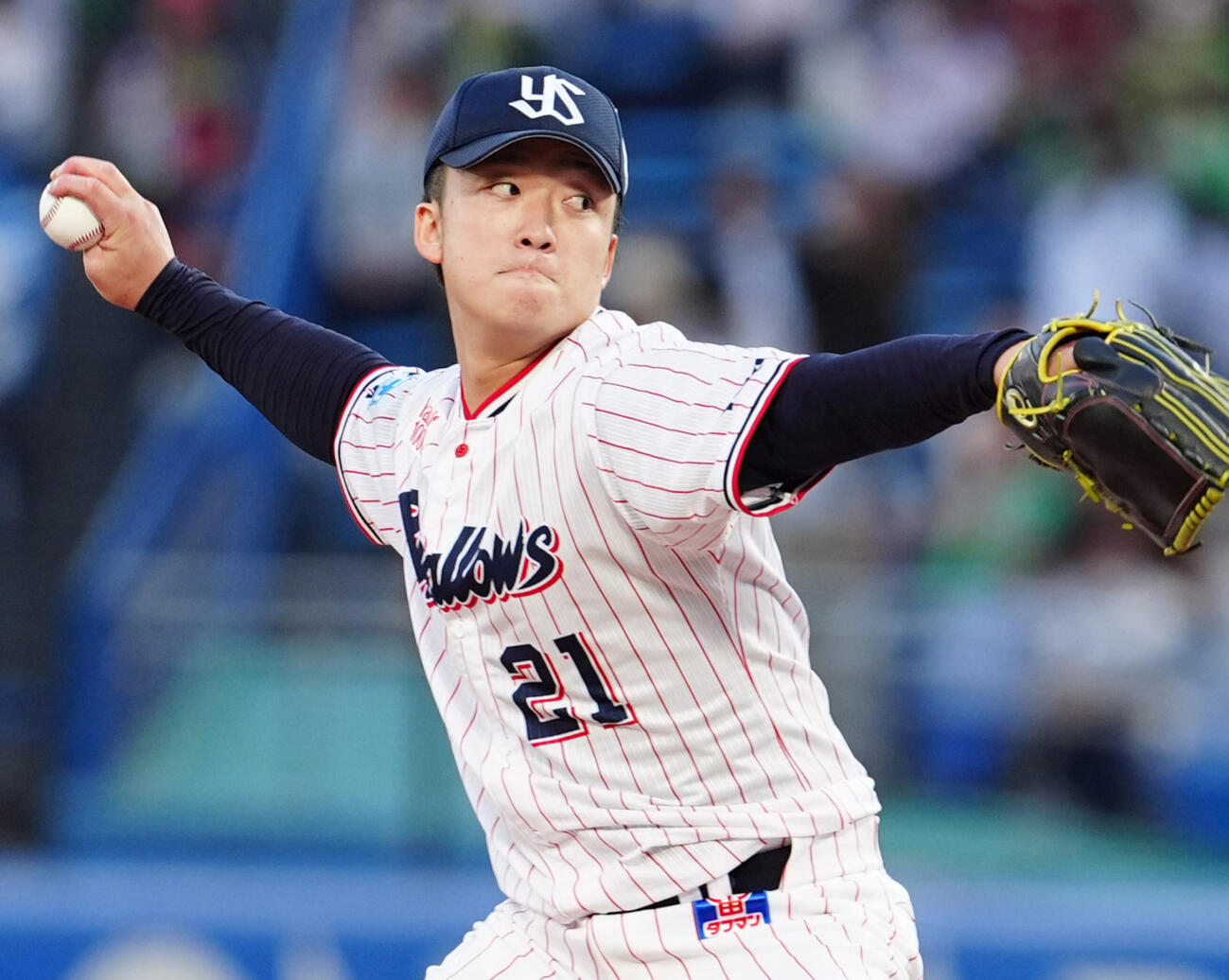 ヤクルト吉村貢司郎（2026年撮影）
