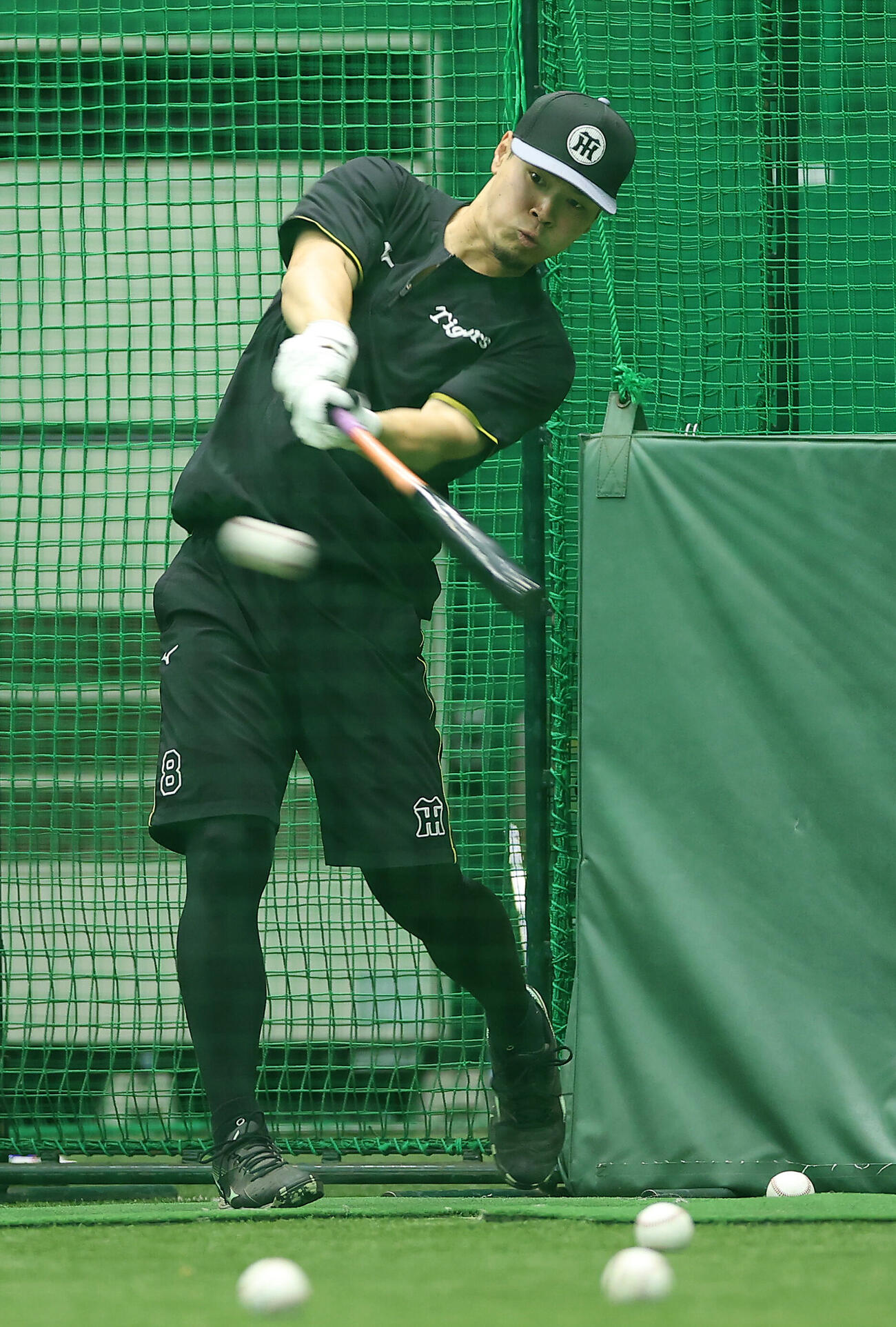 打撃練習を行う阪神佐藤輝明（撮影・前田充）＝2026年6月8日