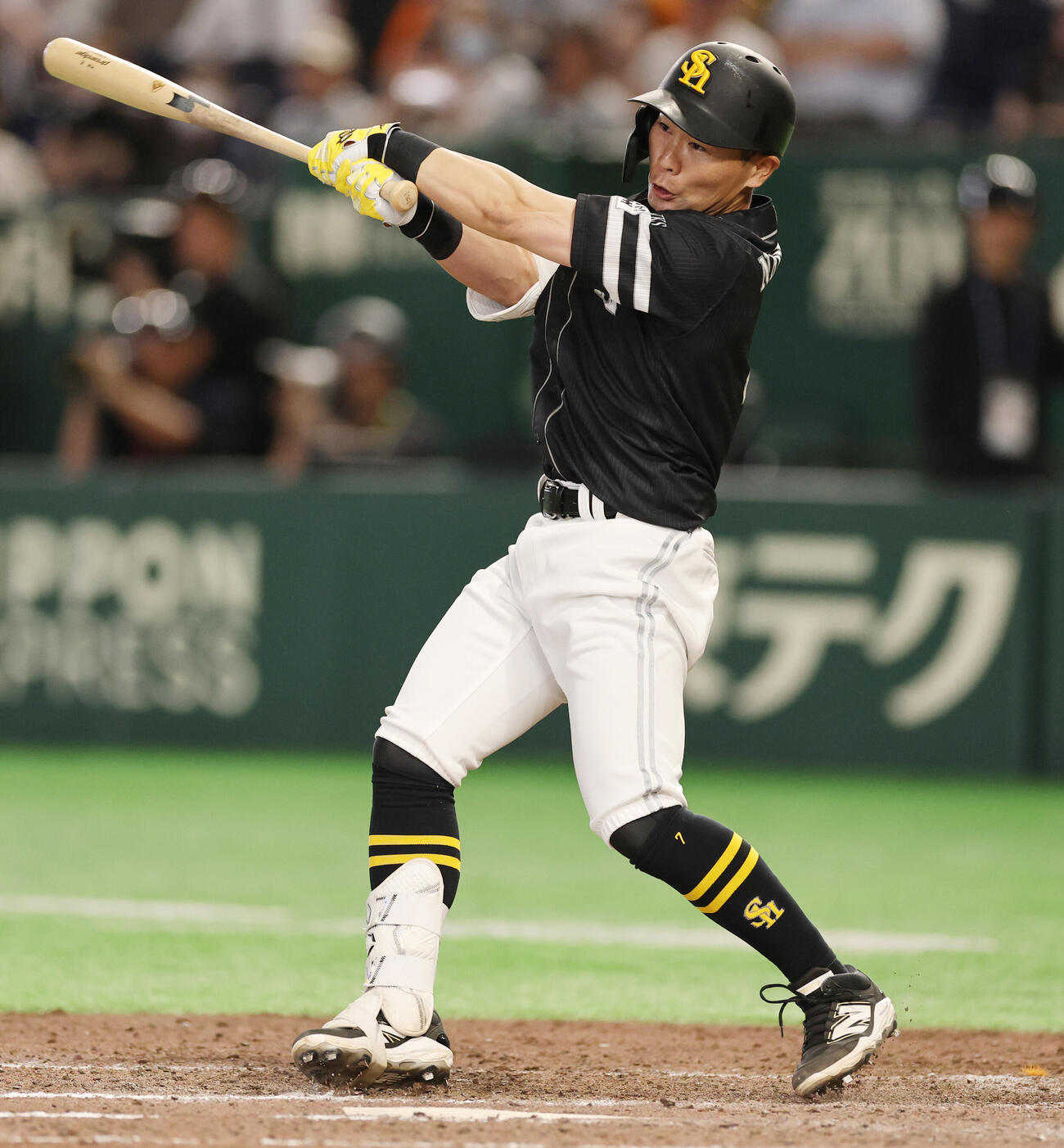 ソフトバンク中村晃（2026年5月27日撮影）