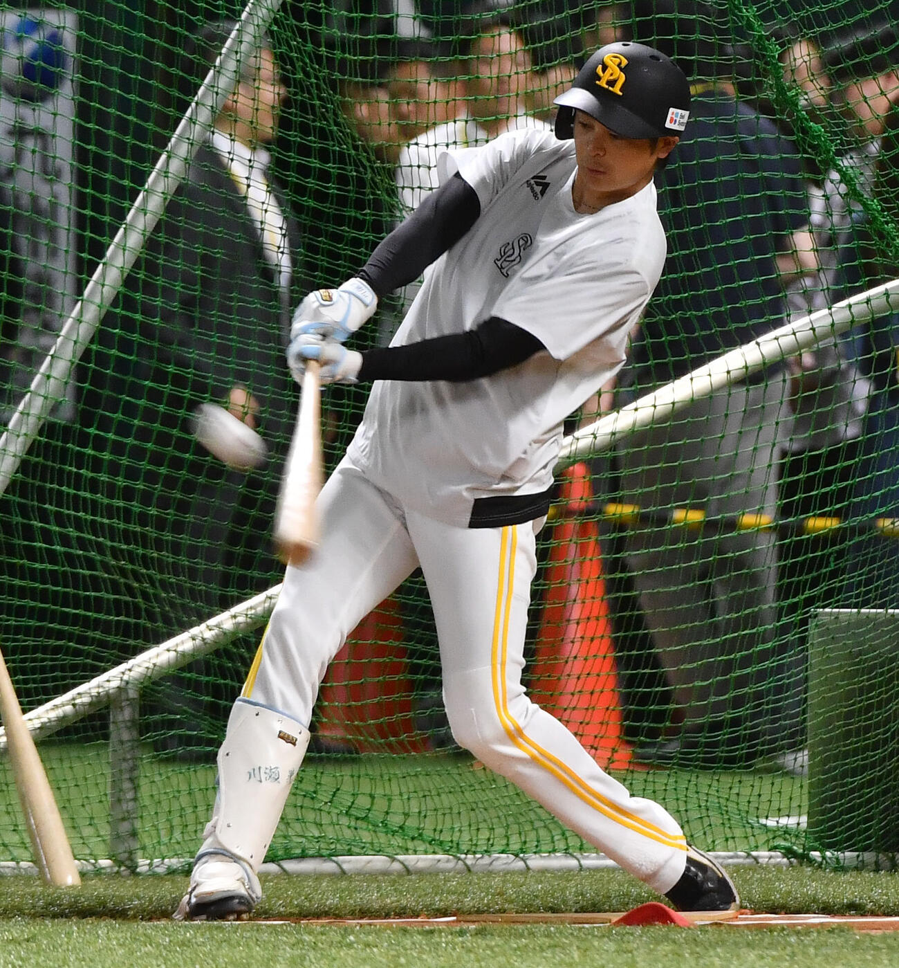 試合前、フリー打撃を行うソフトバンク川瀬晃（撮影・岩下翔太）