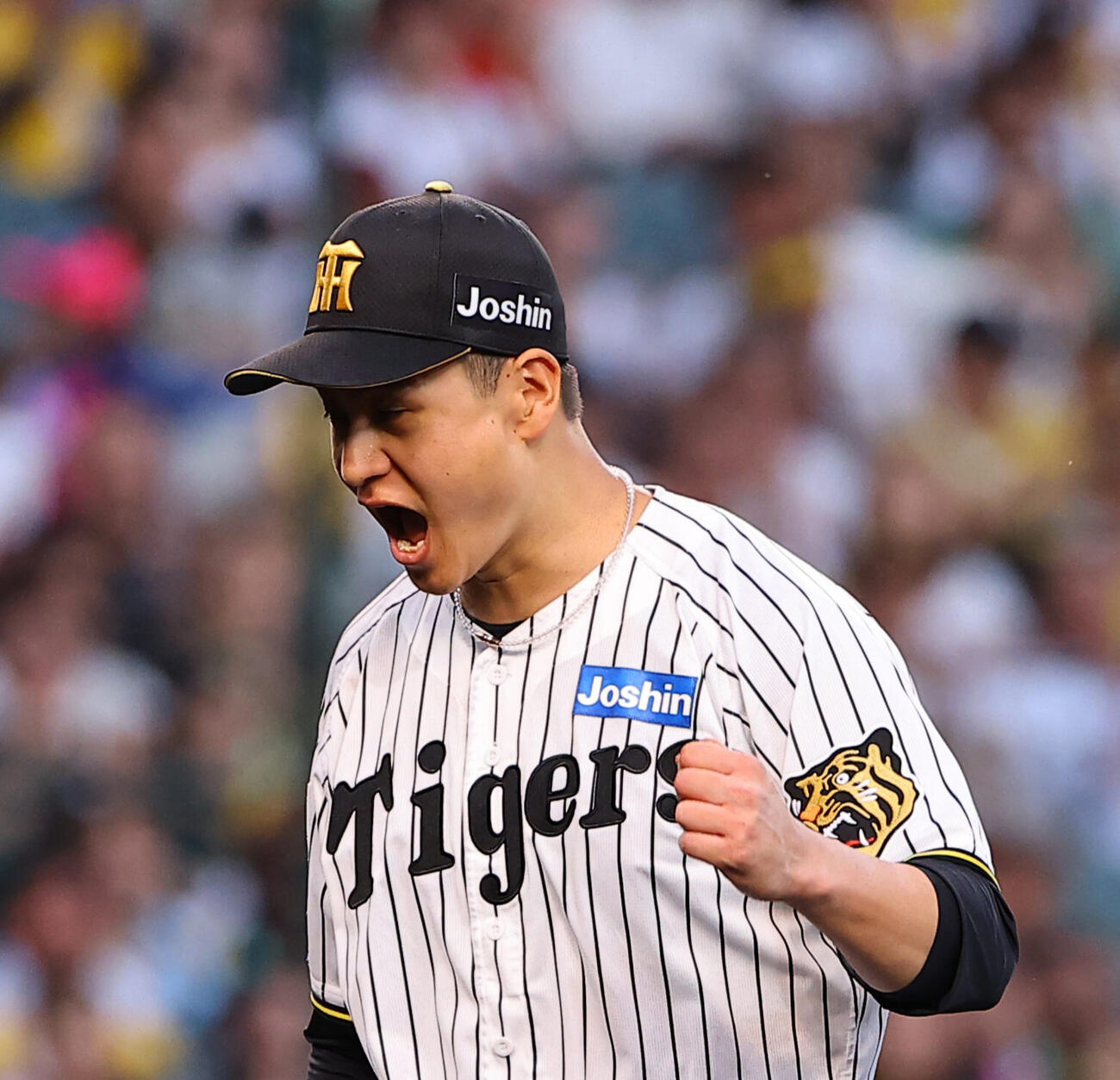 阪神大竹耕太郎（2026年撮影）