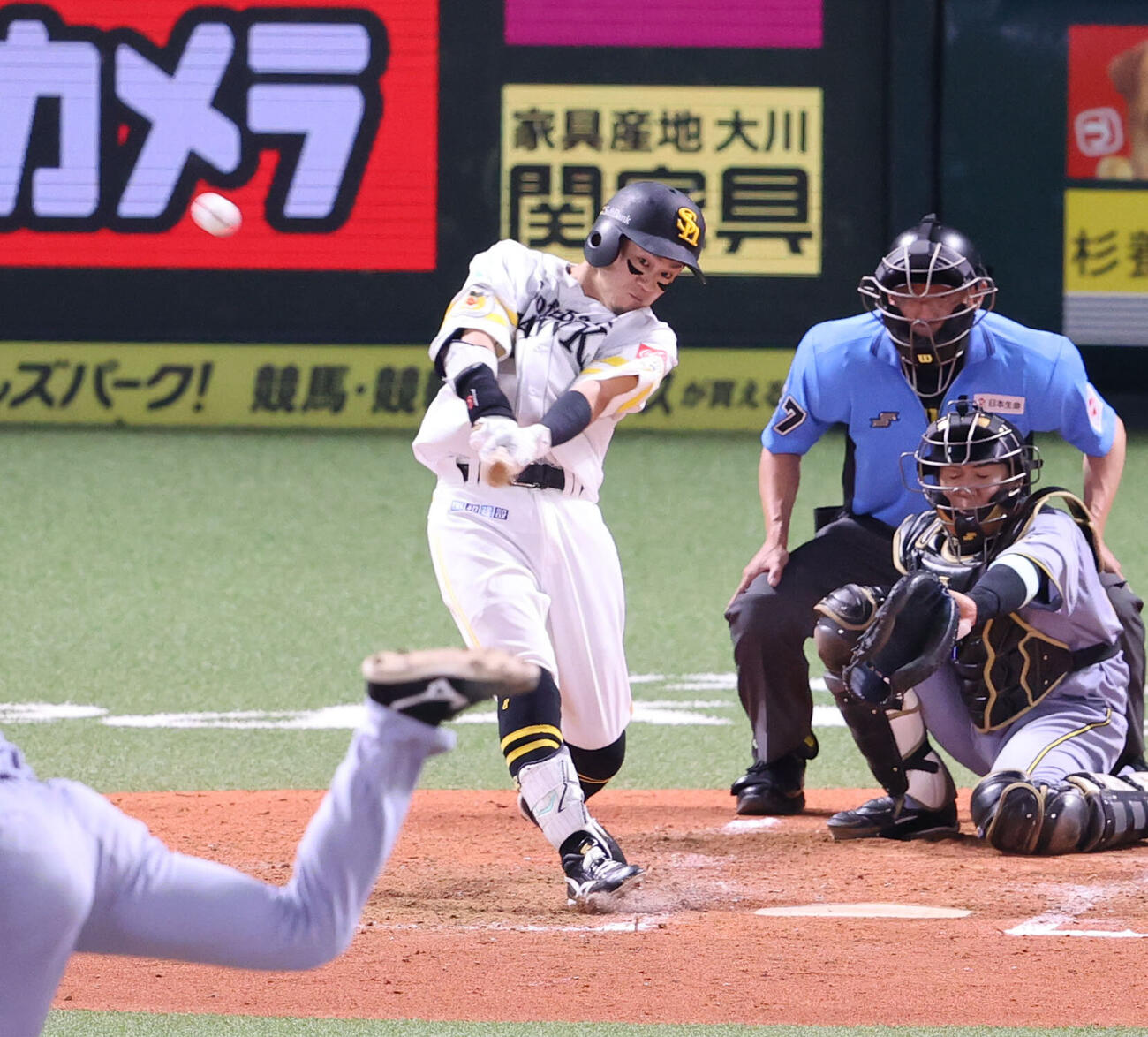 ソフトバンク対阪神　5回裏ソフトバンク無死二塁、牧原大成は右越えに2点本塁打を放つ（撮影・梅根麻紀）