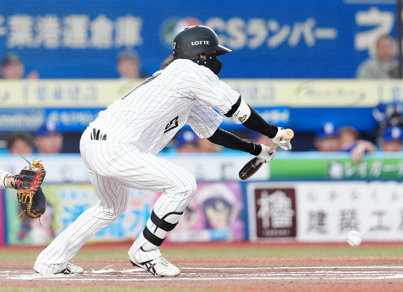ロッテ対中日　1回裏ロッテ無死二塁、セーフティーバントを決める小川龍成（撮影・鈴木みどり）