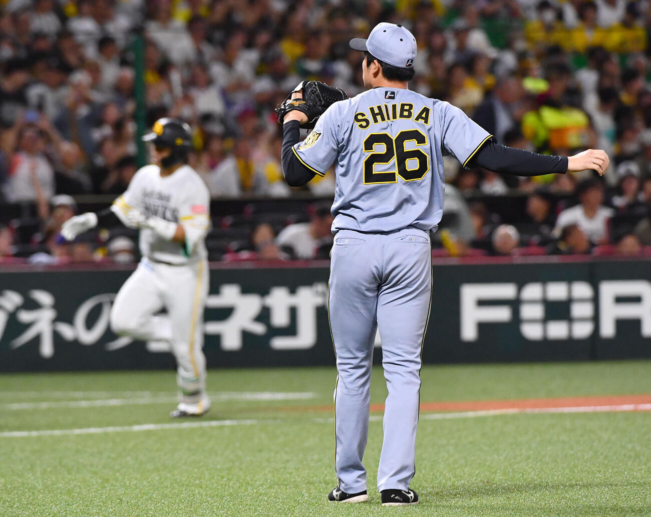 ソフトバンク対阪神　4回裏ソフトバンク1死、野村勇（左）に左越え本塁打を打たれた椎葉剛（撮影・岩下翔太）