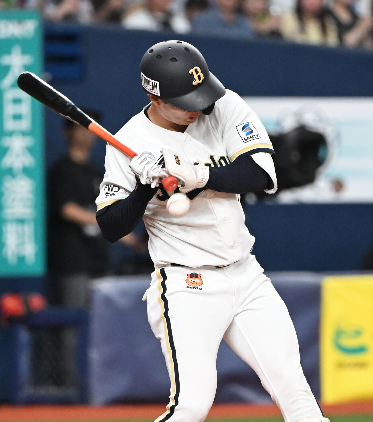 オリックス対ヤクルト　7回裏オリックス無死一塁、死球を受ける太田椋（撮影・和賀正仁）