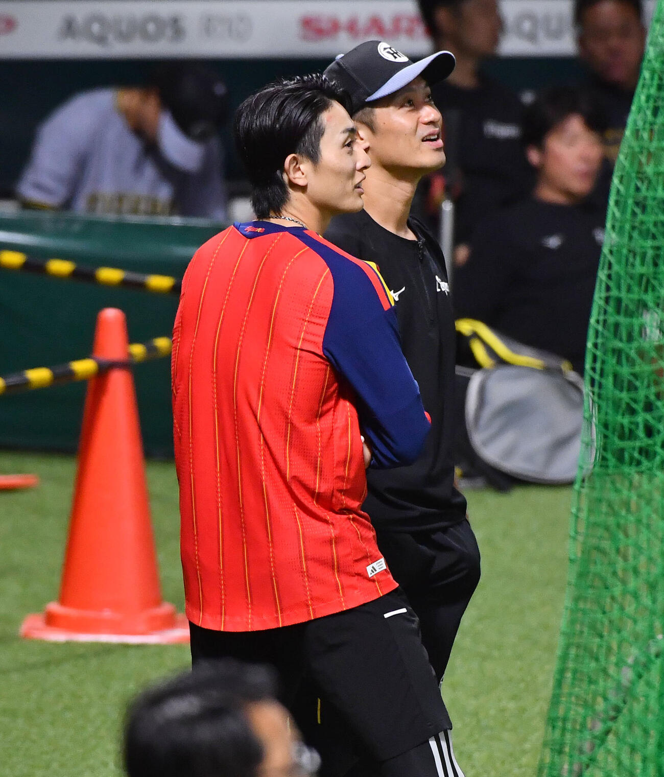 ソフトバンク対阪神　試合前、ソフトバンク周東佑京（左）と話す阪神坂本誠志郎（撮影・岩下翔太）