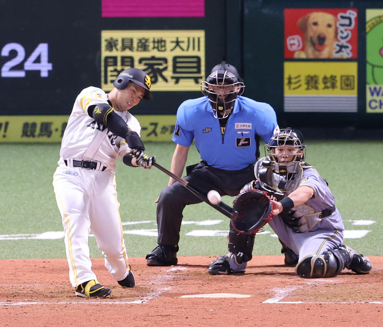 ソフトバンク対阪神　5回裏ソフトバンク1死、近藤健介は右中間に勝ち越し本塁打を放つ（撮影・梅根麻紀）