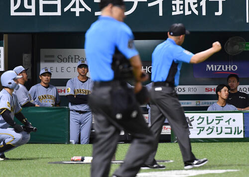 【阪神】NPB監督がまた退場処分　藤川監督が判定に対する抗議で退く　７日はDeNA相川監督が