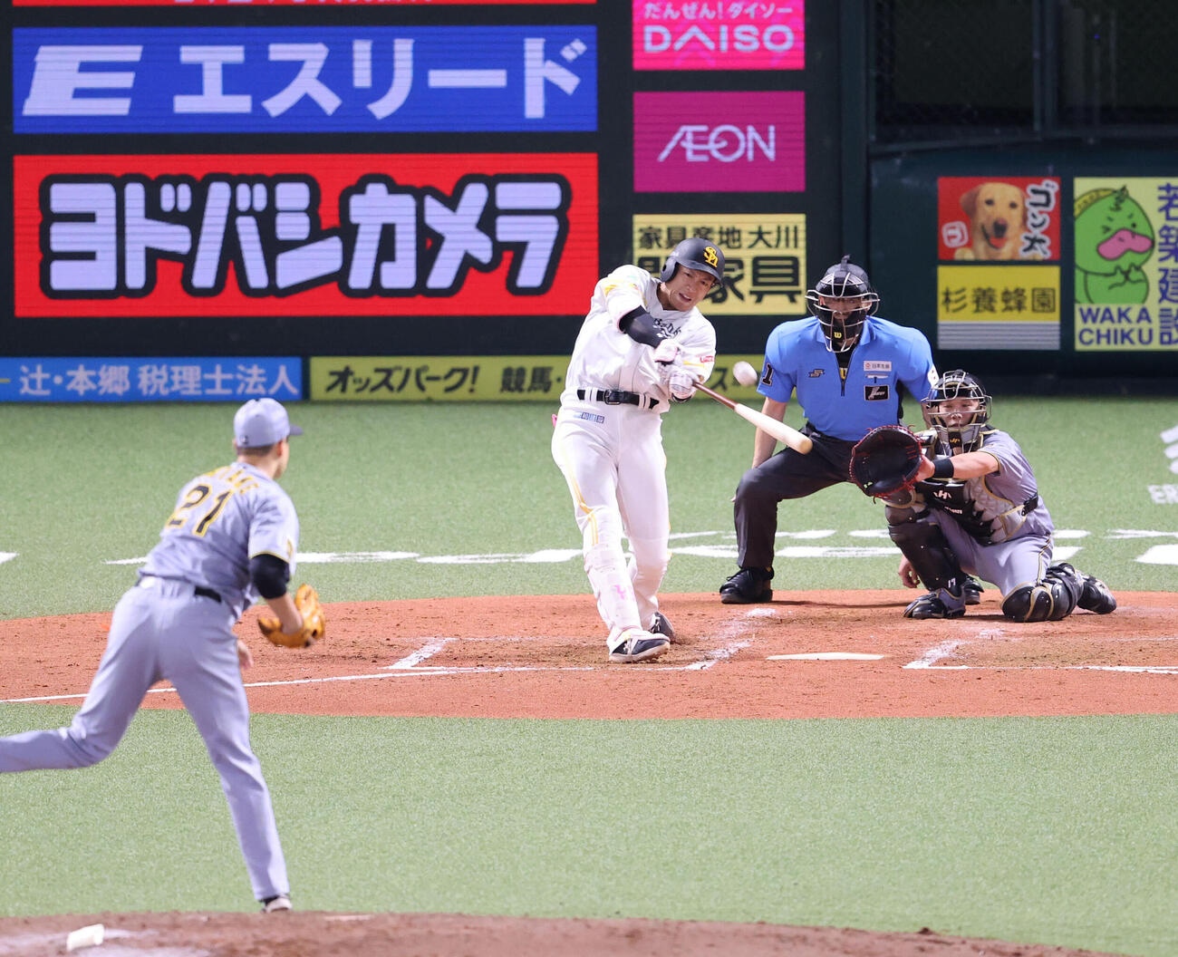 2026年6月10日、ソフトバンク対阪神　4回裏ソフトバンク1死、柳田悠岐は右越え本塁打を放つ（撮影・梅根麻紀）