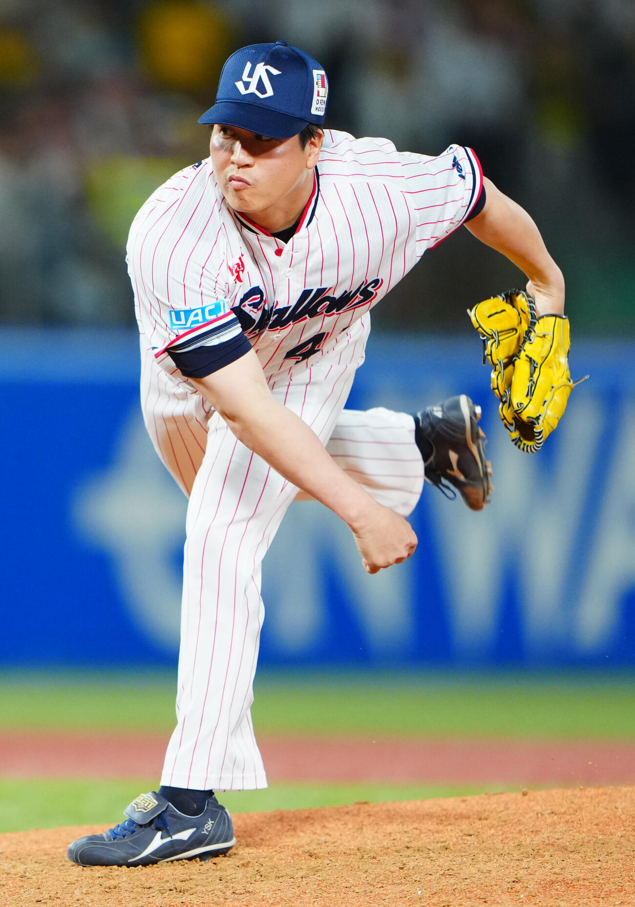 ヤクルト拓也（2026年5月12日撮影）