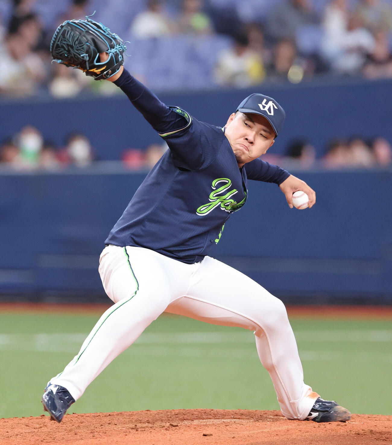 ヤクルト荘司宏太（2026年6月撮影）