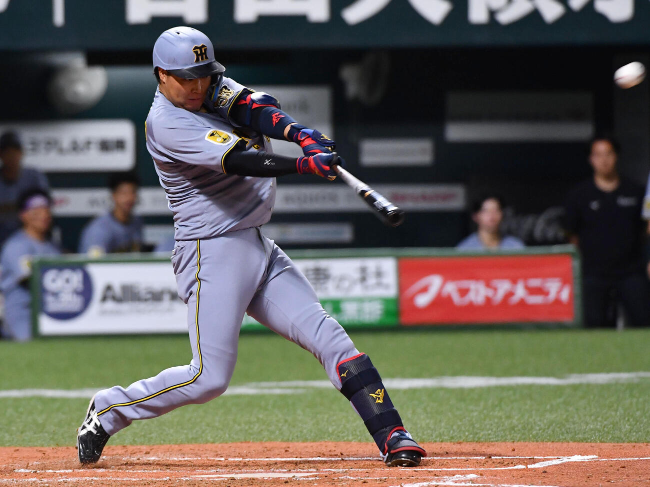 ソフトバンク対阪神　4回表阪神2死、大山悠輔は先制の右越え本塁打を放つ（撮影・岩下翔太）