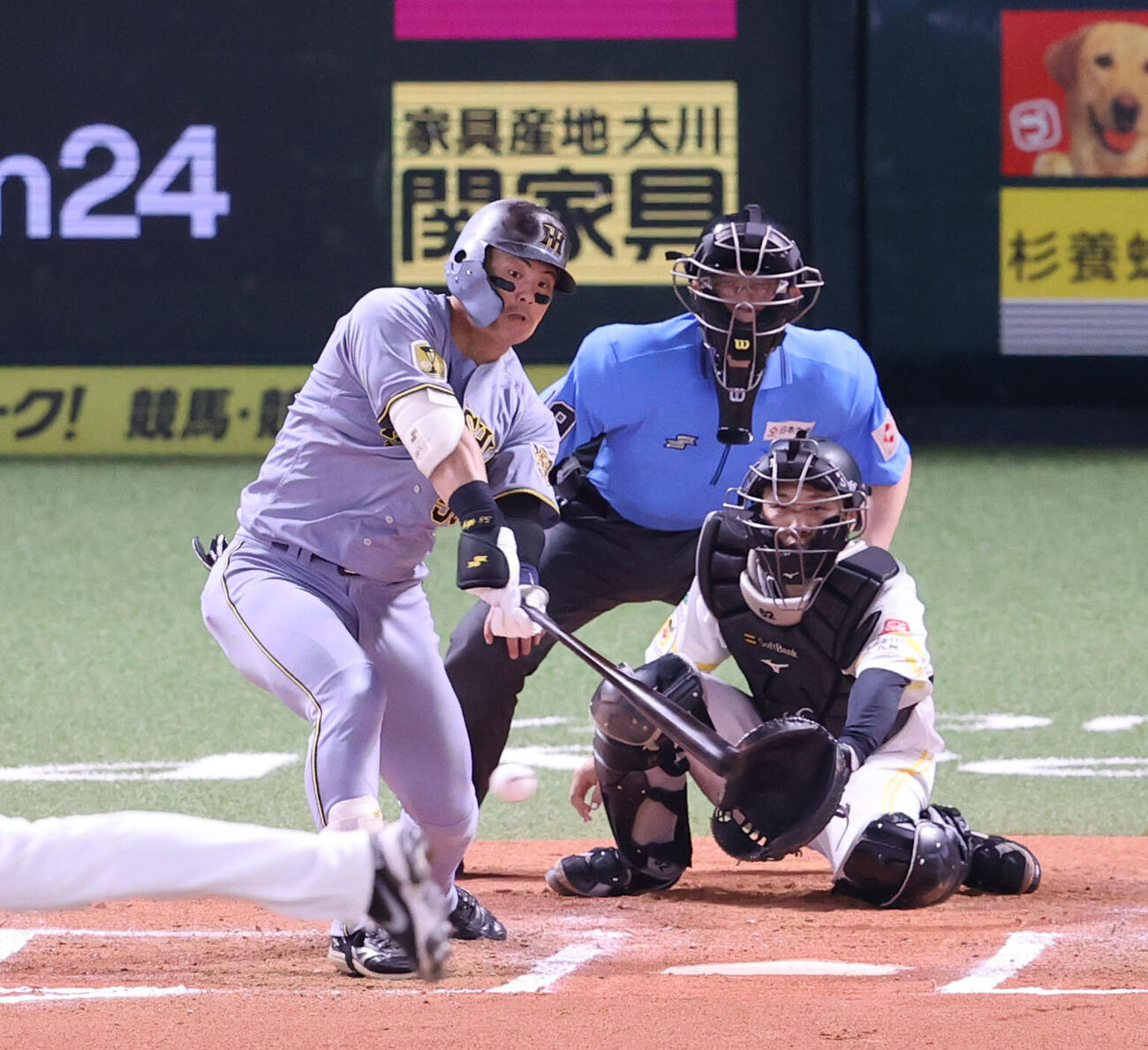 ソフトバンク対阪神　6回表阪神1死一、二塁、前川右京は右前に同点適時打を放つ（撮影・梅根麻紀）