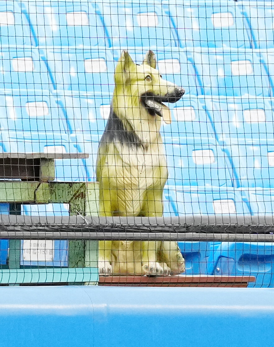 全日本大学野球選手権　準々決勝　富士大対国学院大　2回表、富士大の応援席に置かれるチームの守り神である犬の置物（撮影・江口和貴）