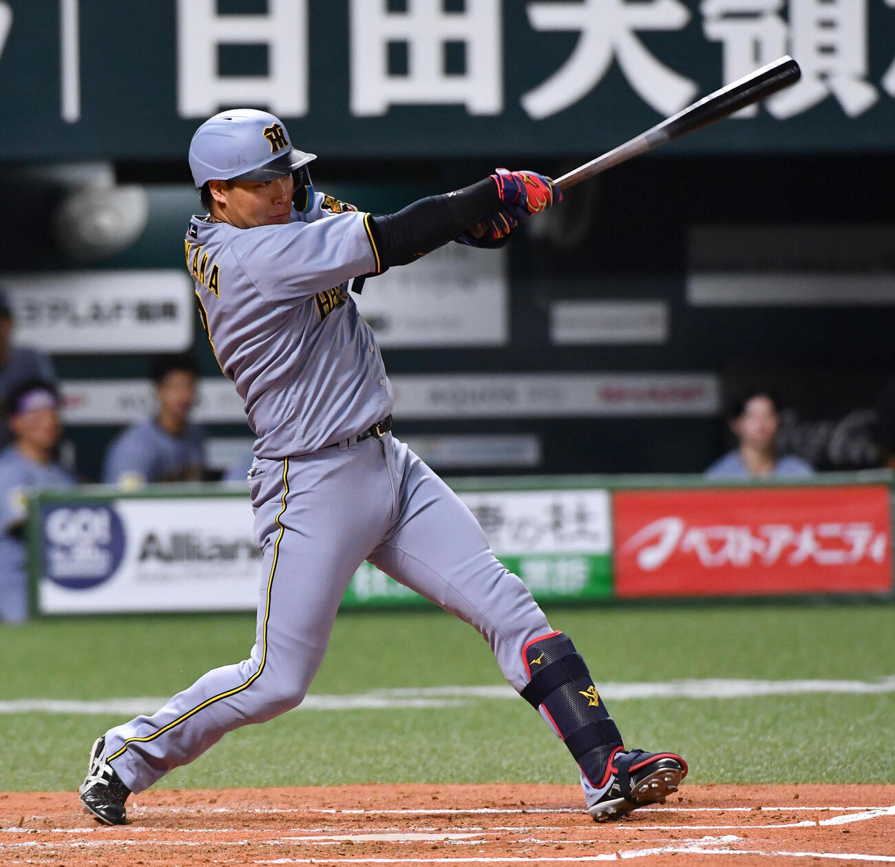 ソフトバンク対阪神　4回表阪神2死、大山悠輔は先制の右越え本塁打を放つ（撮影・岩下翔太）