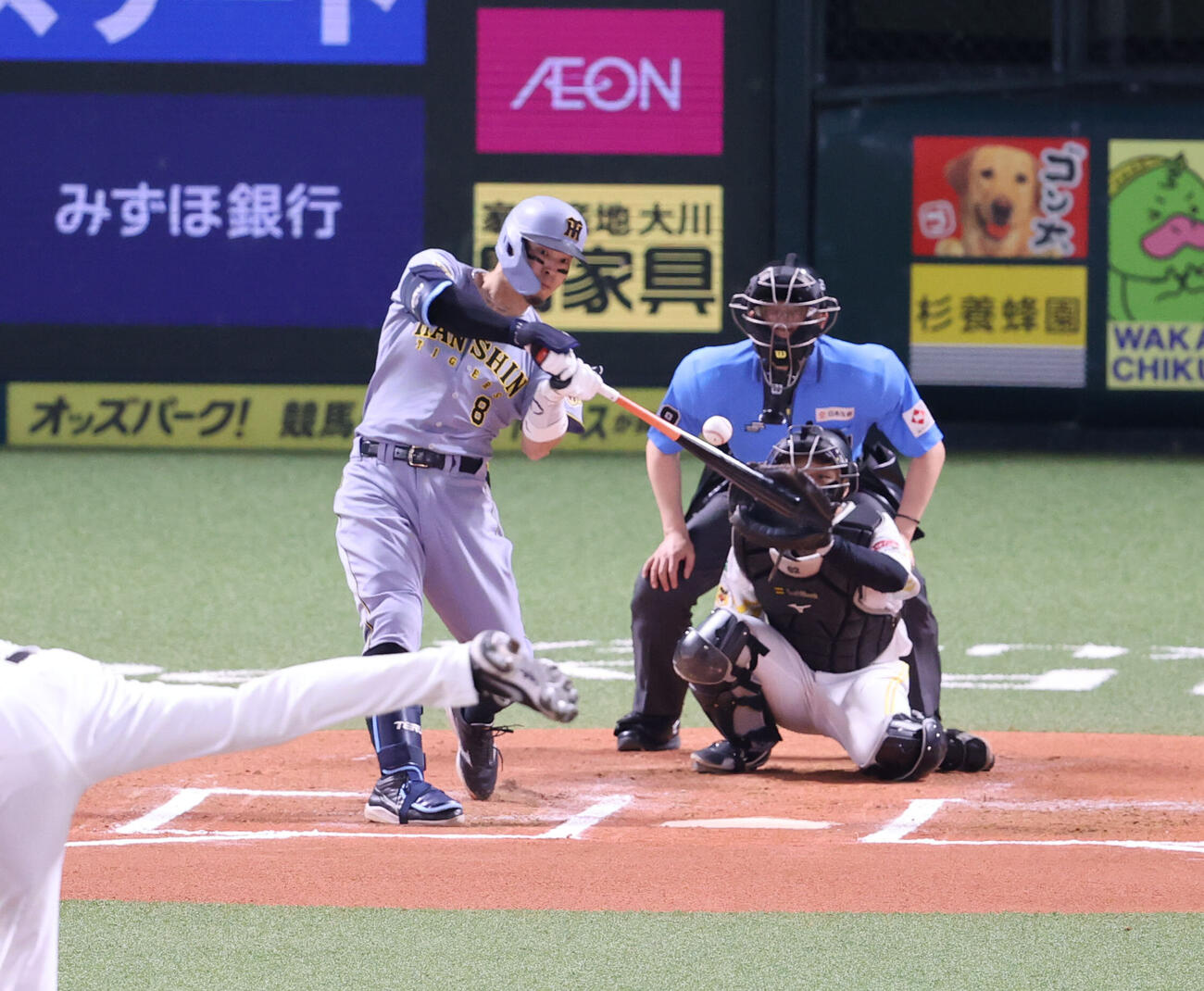 ソフトバンク対阪神　6回表阪神1死、佐藤輝明は右前打を放つ（撮影・梅根麻紀）