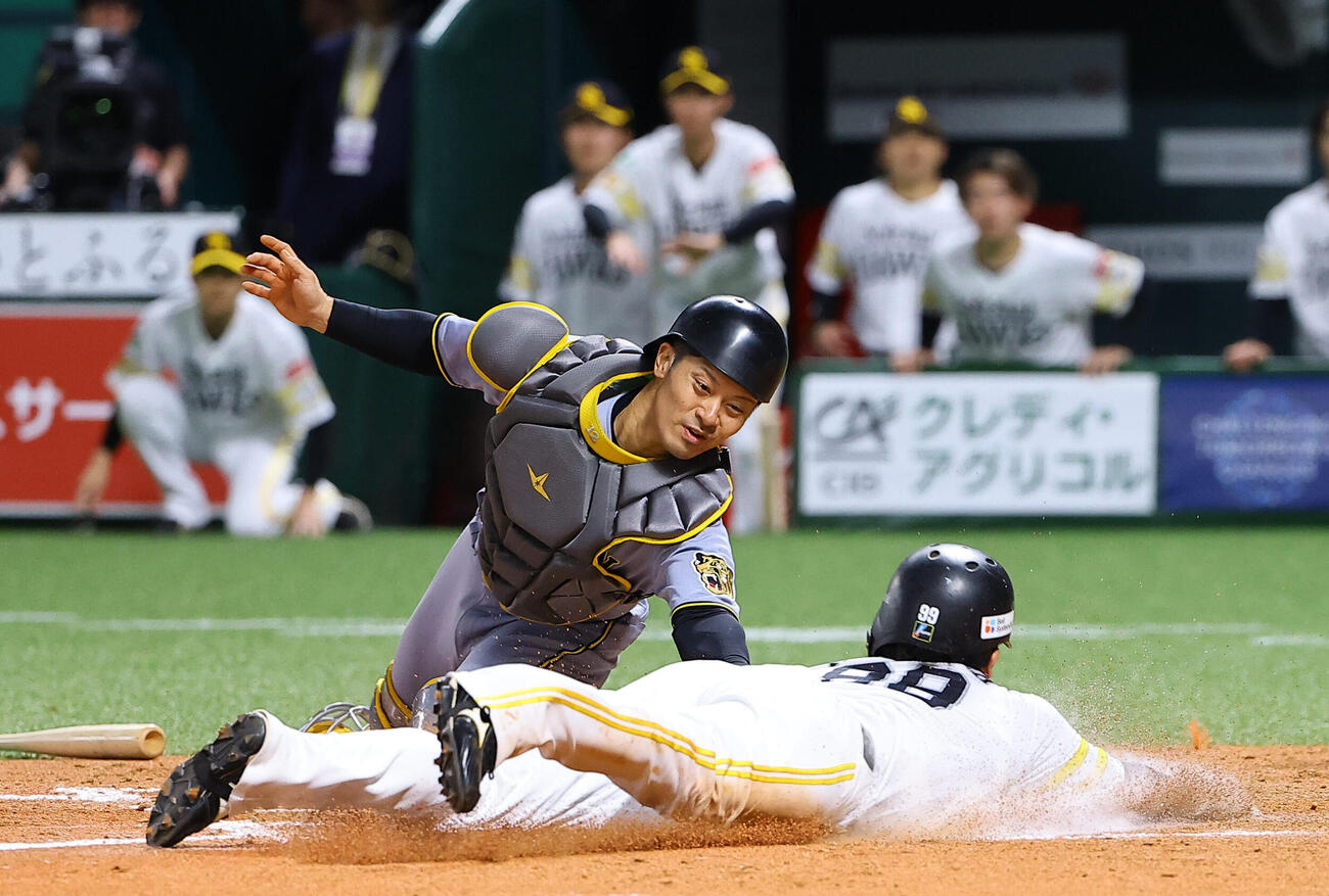 ソフトバンク対阪神　7回裏ソフトバンク2死二塁、牧原大成の適時打で生還する野村勇。捕手坂本誠志郎（撮影・上田博志）
