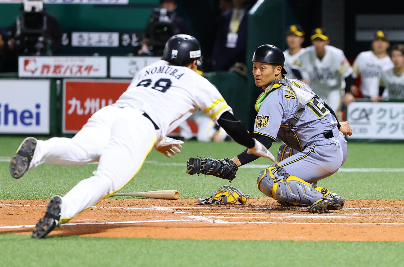 ソフトバンク対阪神　7回裏ソフトバンク2死二塁、牧原大成の適時打で生還する野村勇。捕手は坂本誠志郎（撮影・上田博志）
