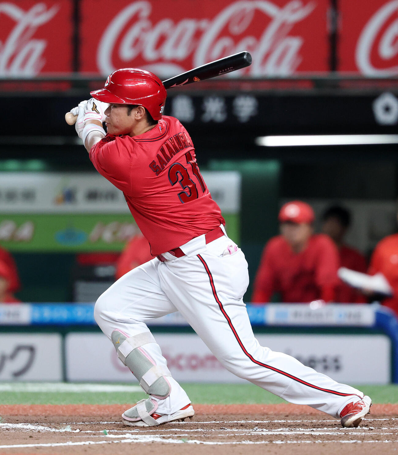 広島坂倉将吾（2026年6月撮影）