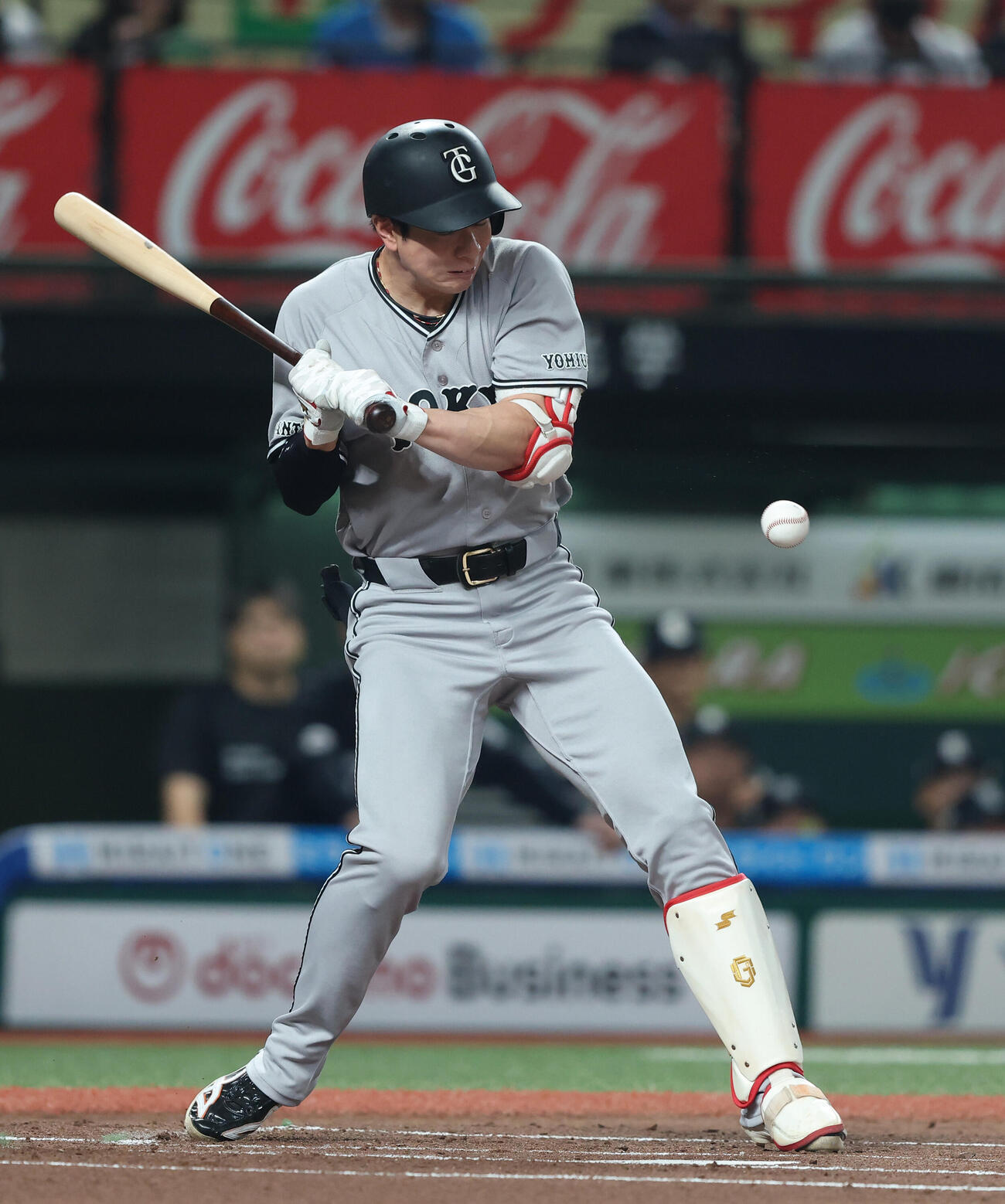 西武対巨人　1回表巨人1死、死球を受ける松本剛（撮影・河田真司）