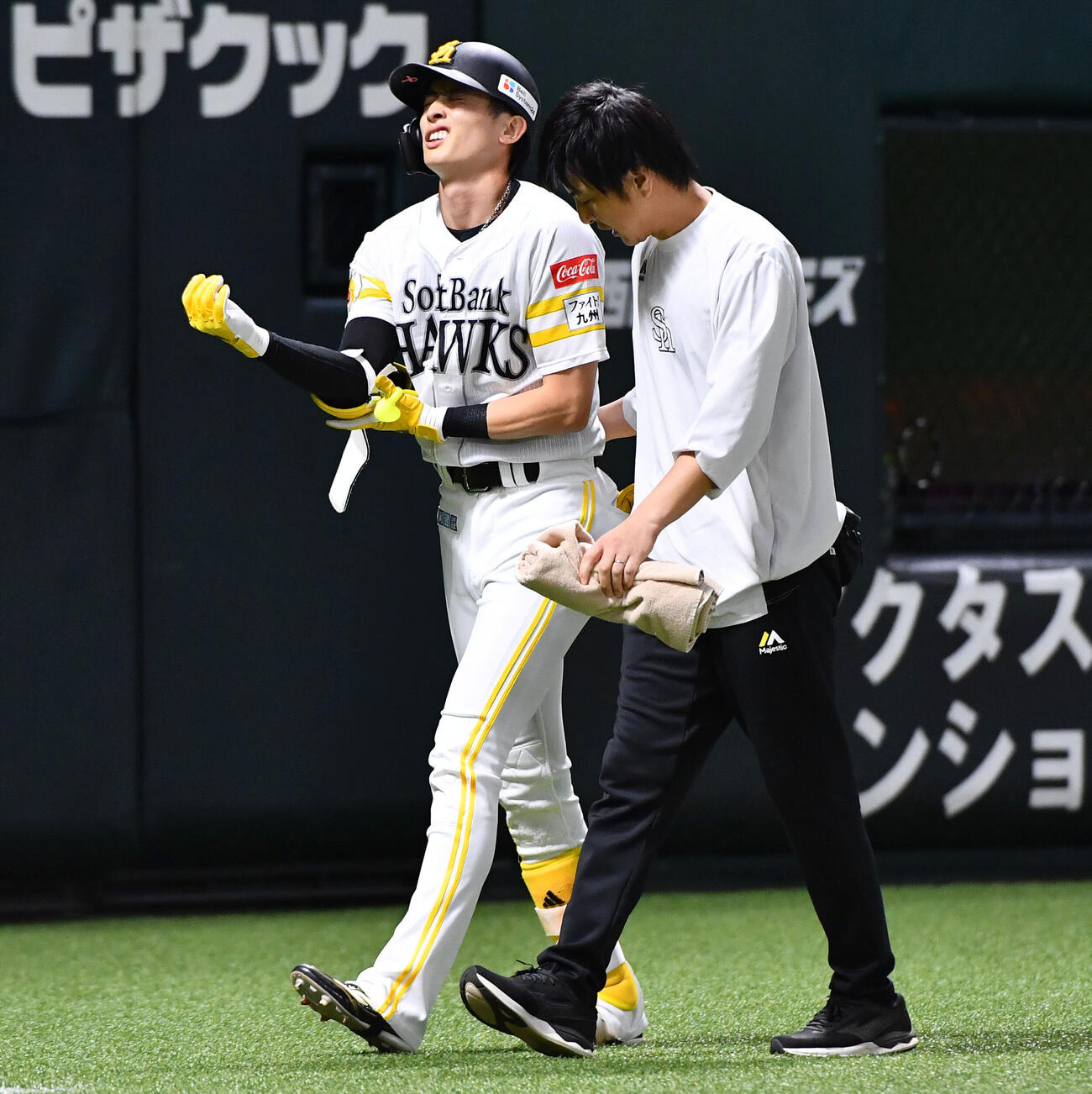 ソフトバンク対ヤクルト　5回裏ソフトバンク2死二塁、足に死球を受け、トレーナーとベンチへ戻る周東佑京（撮影・岩下翔太）