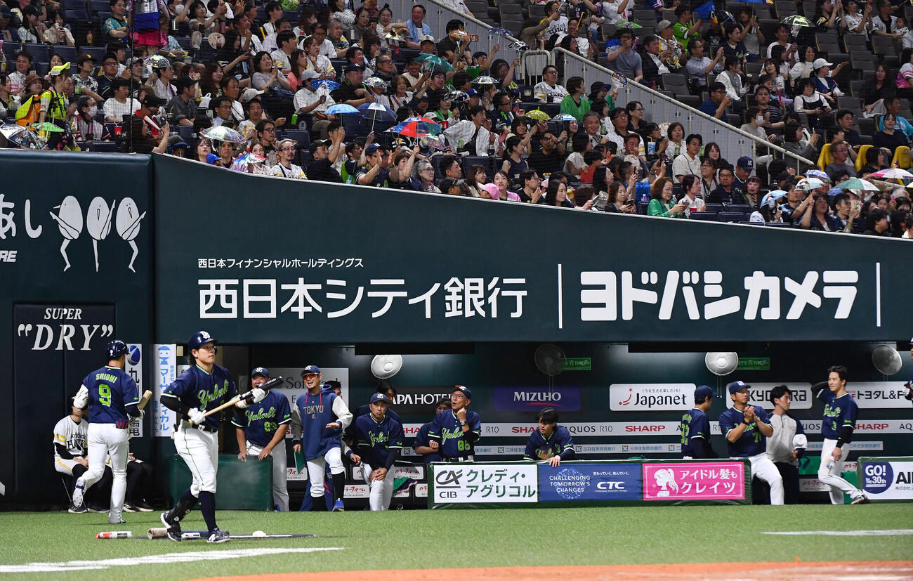ソフトバンク対ヤクルト　6回表ヤクルト1死満塁、勝ち越しの中犠飛を放った塩見泰隆（左端）を迎える池山隆寛監督（中央）とヤクルトナイン（撮影・岩下翔太）