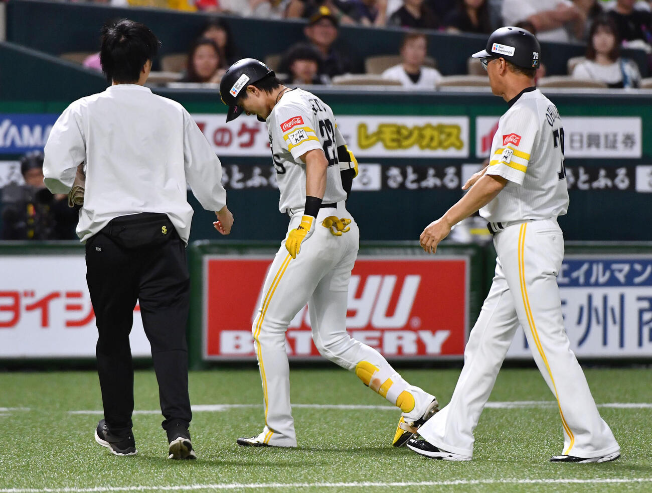 ソフトバンク対ヤクルト　5回裏ソフトバンク2死二塁、足に死球を受け、痛がる周東佑京（撮影・岩下翔太）