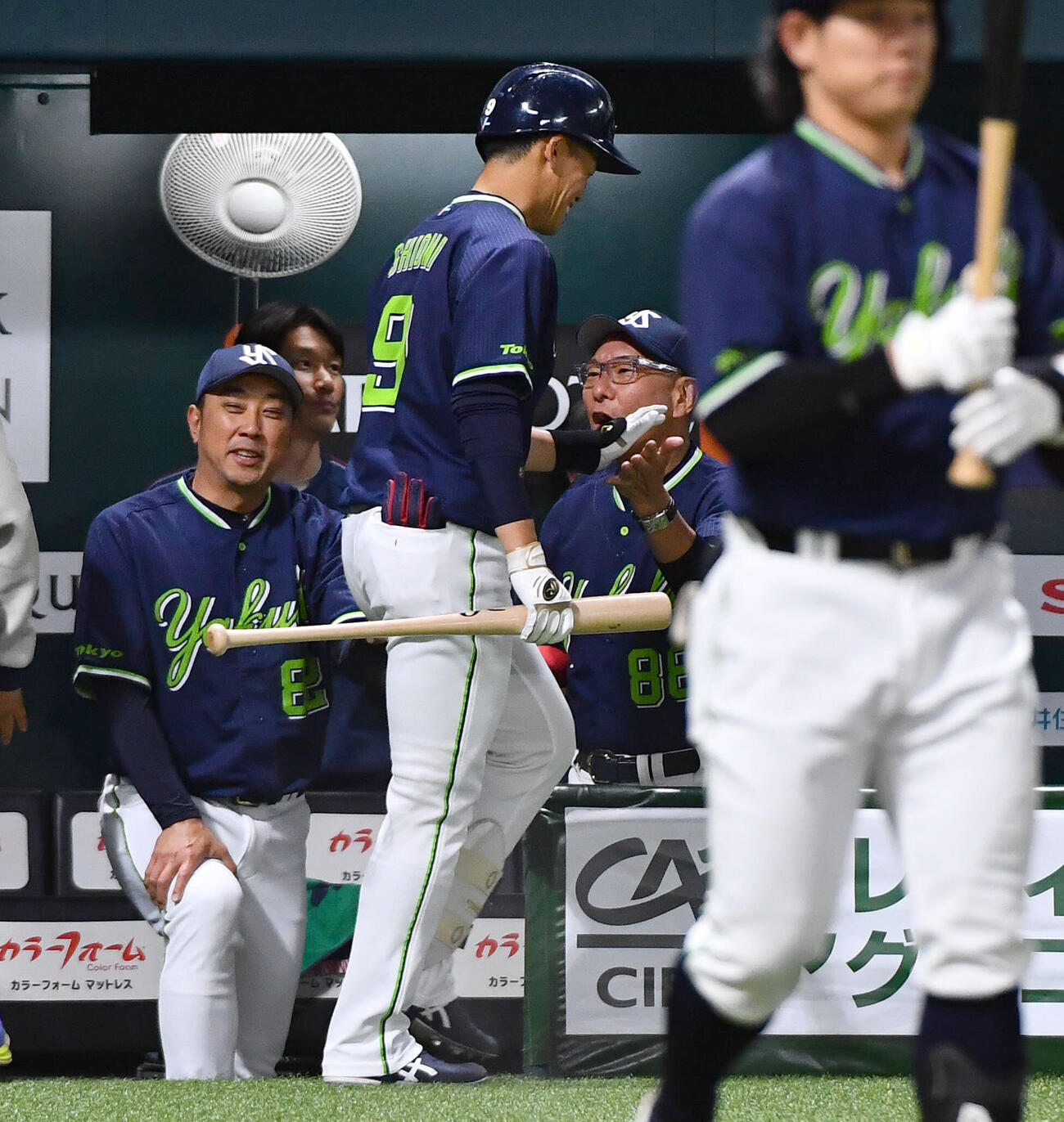 ソフトバンク対ヤクルト　6回表ヤクルト1死満塁、勝ち越しの中犠飛を放った塩見泰隆（左から2人目）を迎える池山隆寛監督（撮影・岩下翔太）