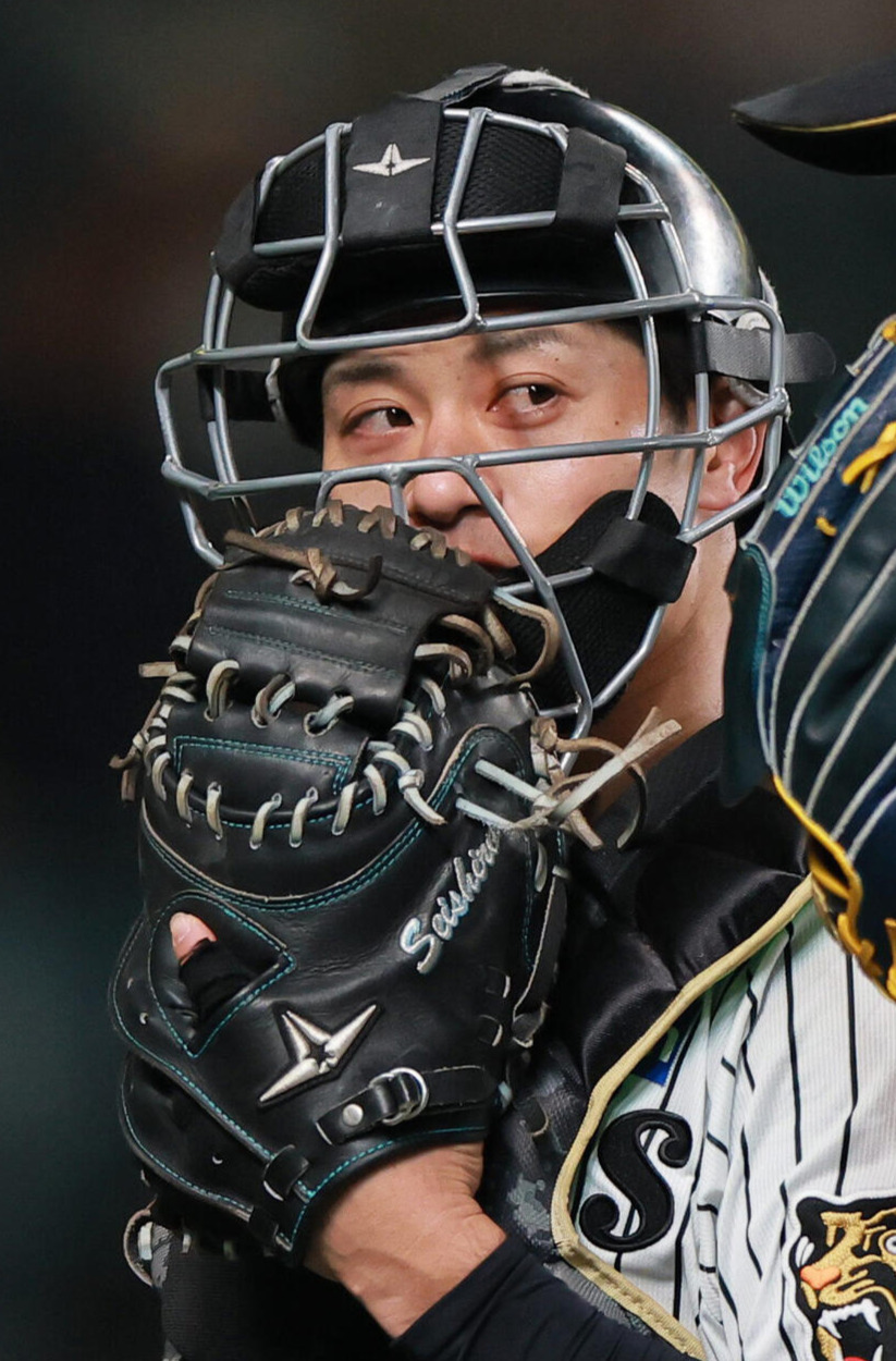 阪神坂本誠志郎（2026年6月撮影）
