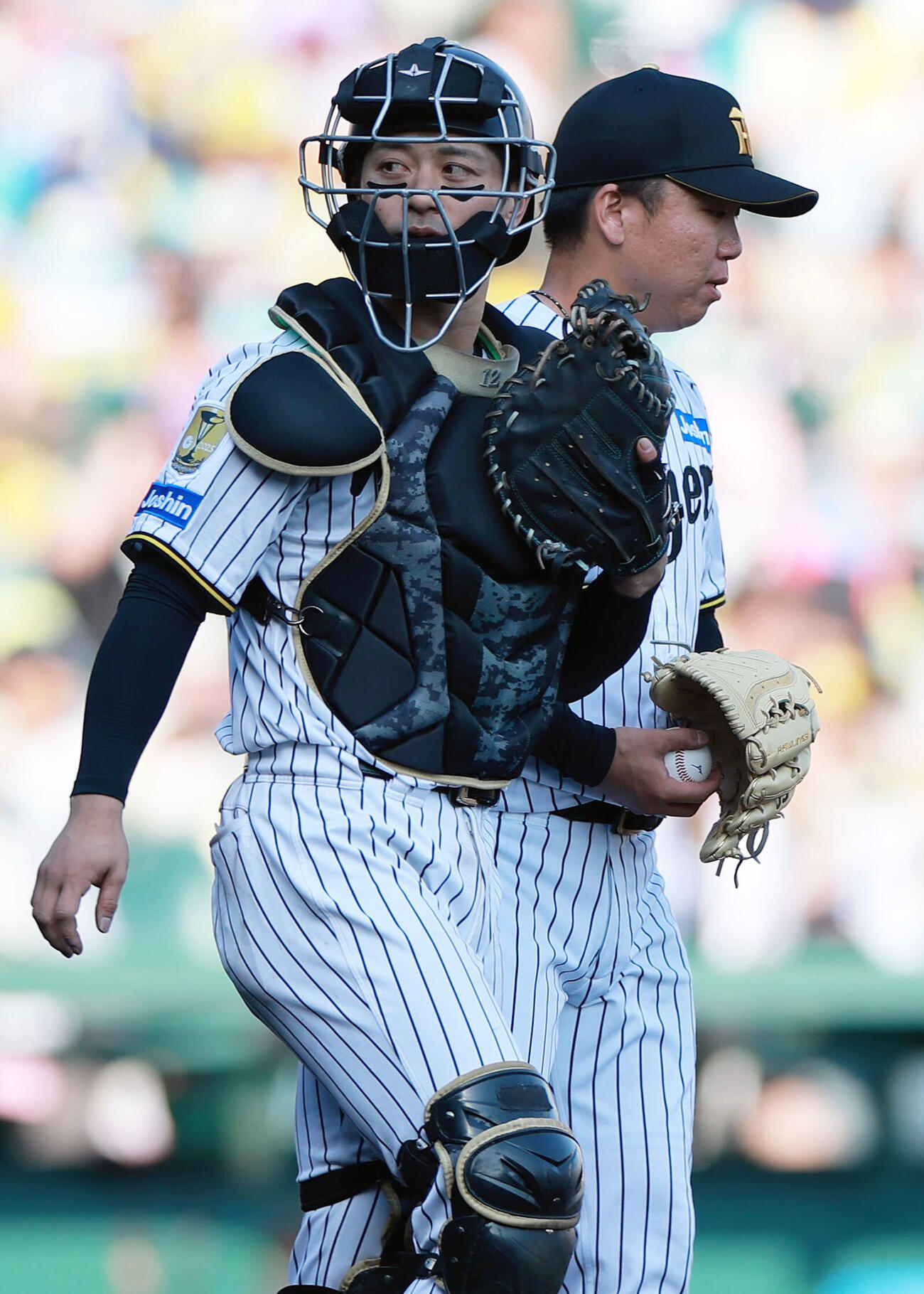阪神坂本誠志郎（手前）（2026年6月撮影）