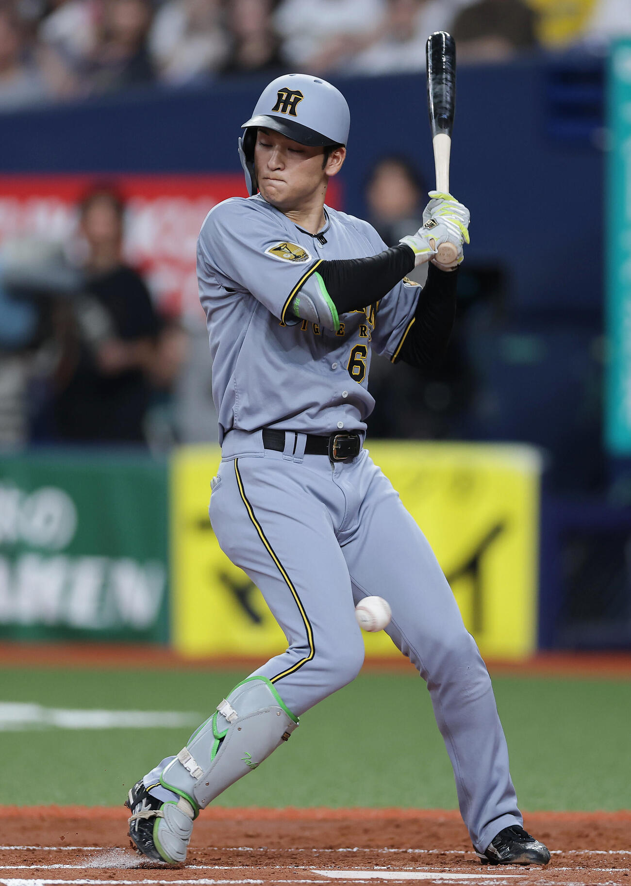オリックス対阪神　3回表阪神1死、死球を受ける高寺望夢（撮影・前田充）＝2026年6月14日