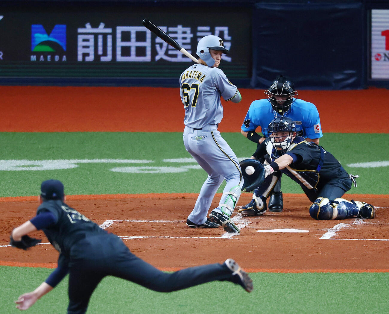 オリックス対阪神　3回表阪神1死、死球を受ける高寺望夢。投手九里亜蓮（撮影・加藤哉）＝2026年6月14日　