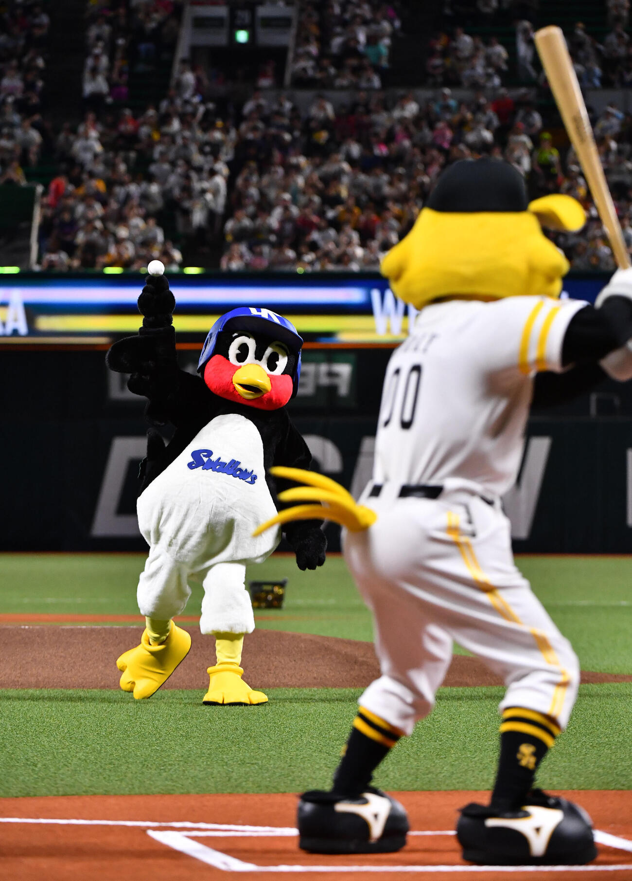 ソフトバンク対ヤクルト　試合前、1打席対決を行うつば九郎（左）とハリーホーク（撮影・岩下翔太）