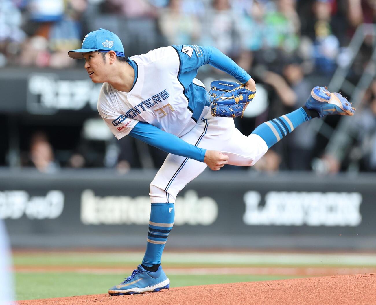 日本ハム対中日　日本ハム先発の古林睿煬（撮影・黒川智章）＝2026年6月14日
