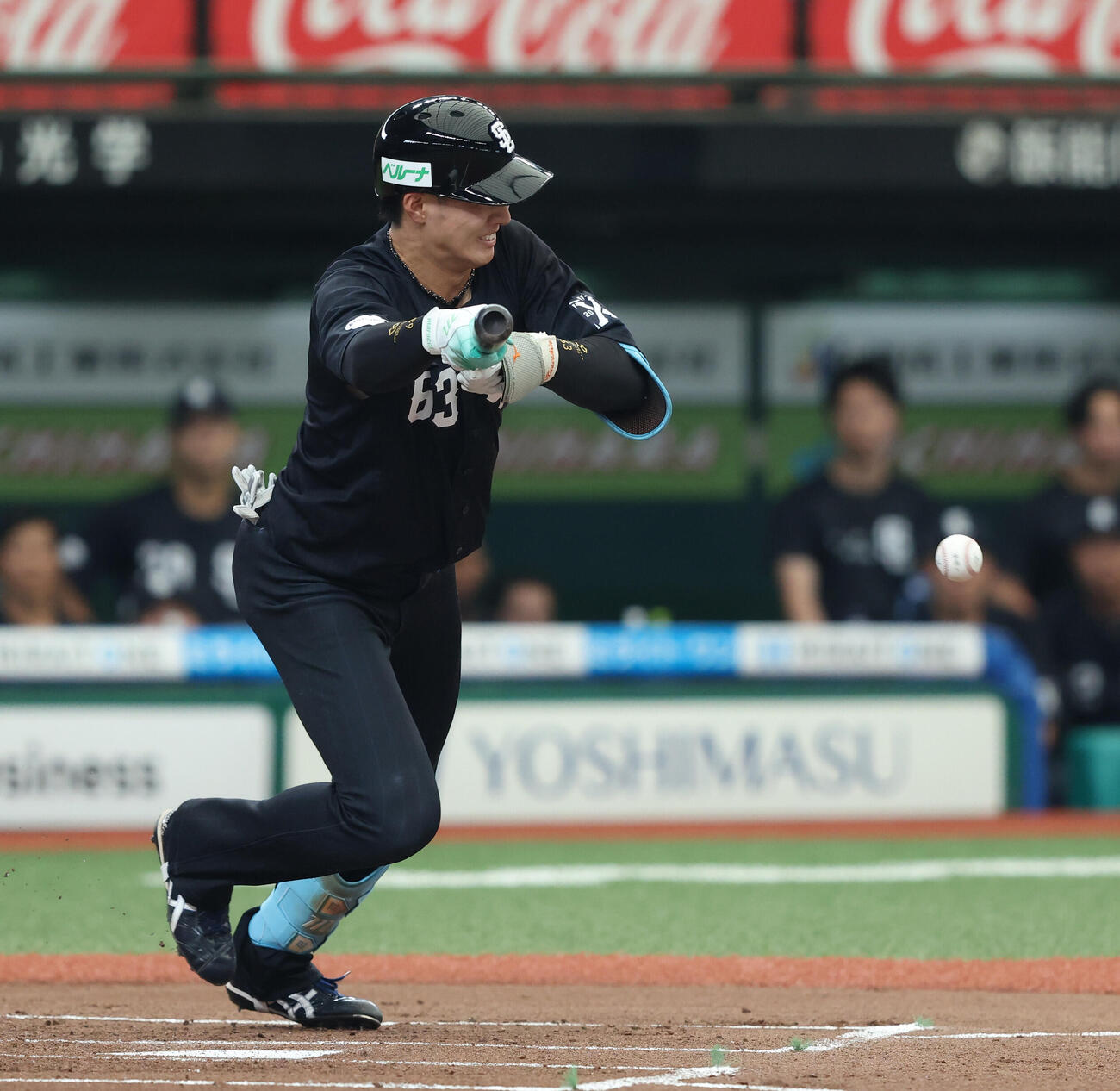 交流戦　西武対巨人　1回裏西武2死、セーフティバントを決める長谷川信哉（撮影・河田真司）