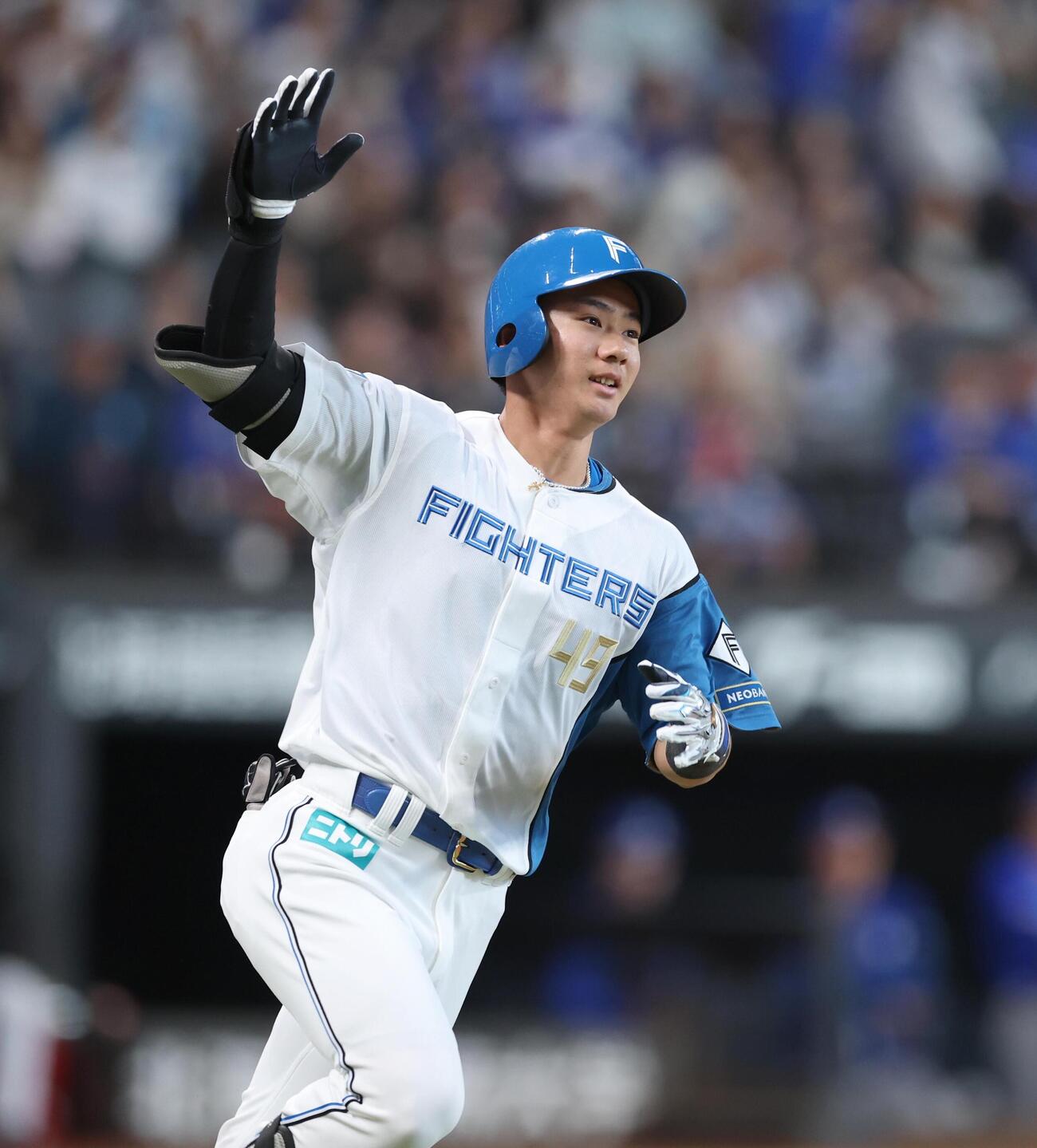 日本ハム大塚瑠晏（2026年6月撮影）