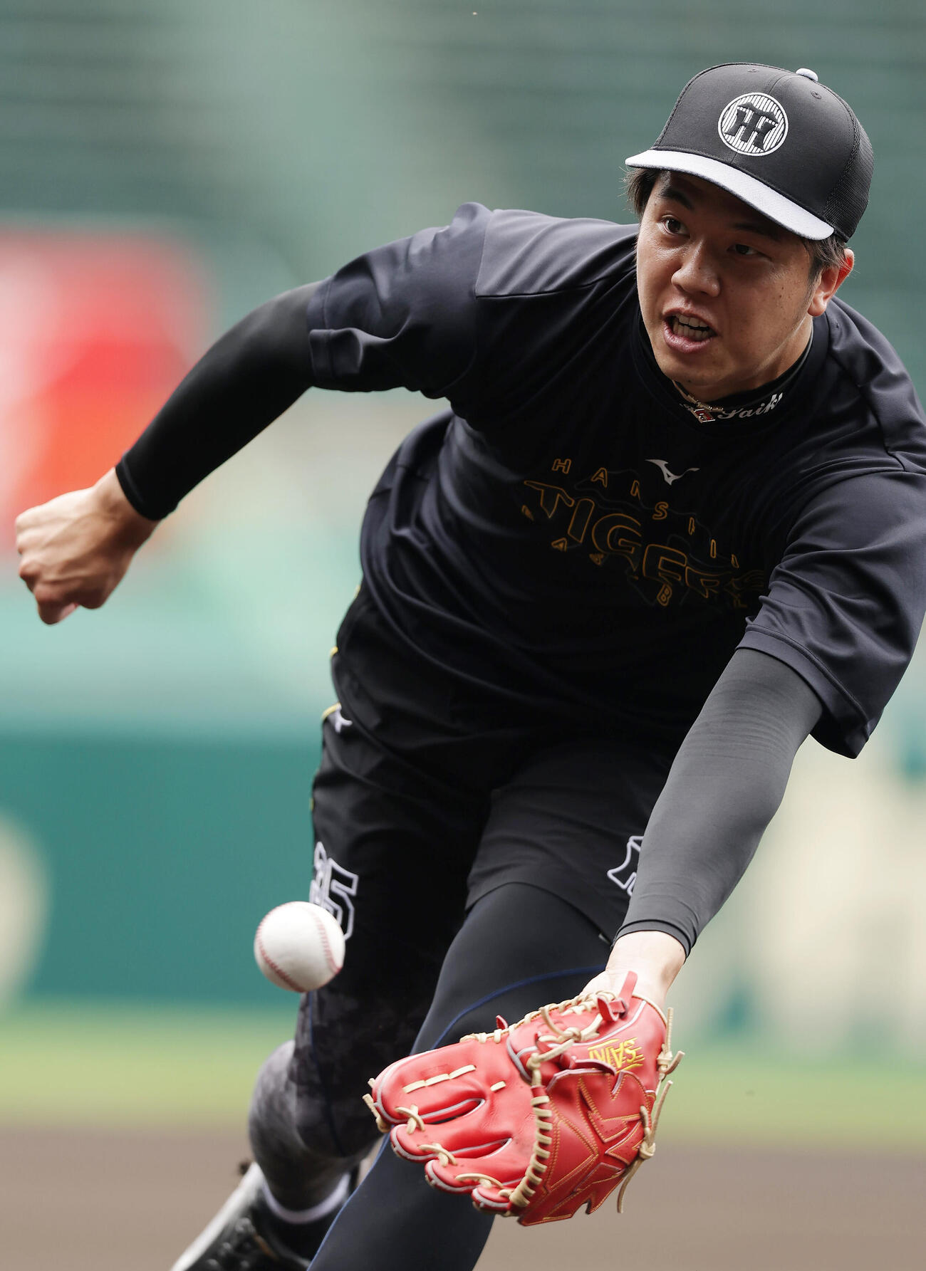 投内連係でグラブトスする阪神才木浩人（撮影・前田充）
