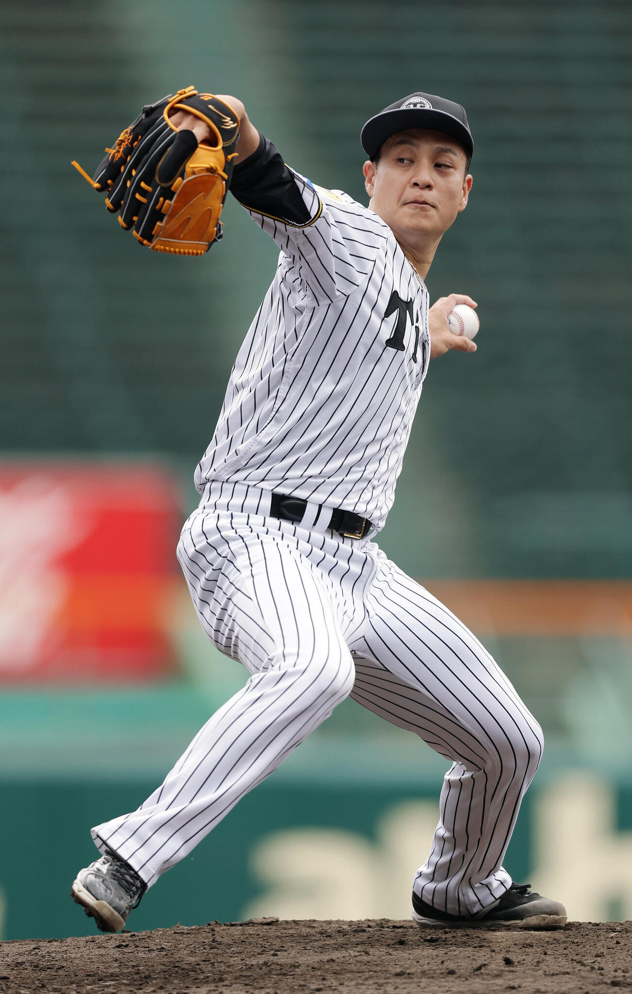 マウンドで投球練習する阪神大竹耕太郎（撮影・前田充）