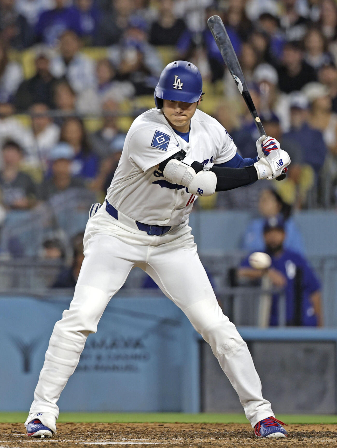 レイズ戦の7回、見逃し三振に倒れたドジャース大谷（共同）