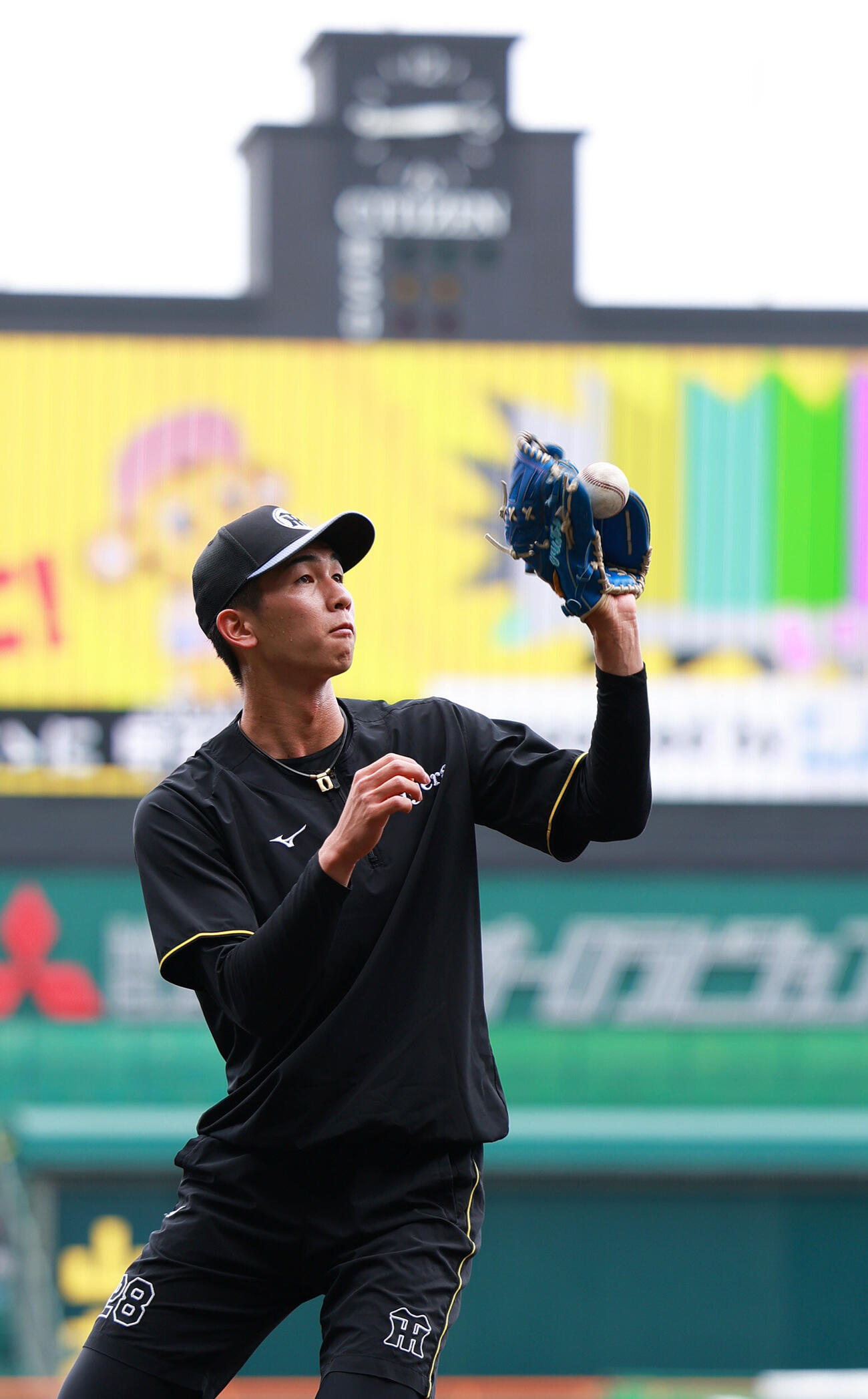阪神対西武　甲子園球場でノックを受ける阪神今朝丸裕喜（撮影・上山淳一）