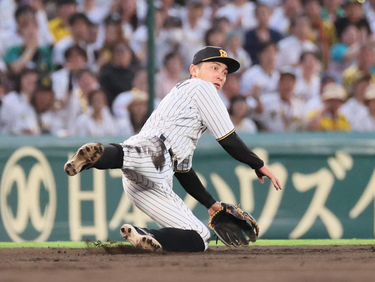 阪神対西武　4回表西武1死一塁、阪神熊谷敬宥はアレクサンダー・カナリオの遊ゴロをさばく（撮影・宮崎幸一）