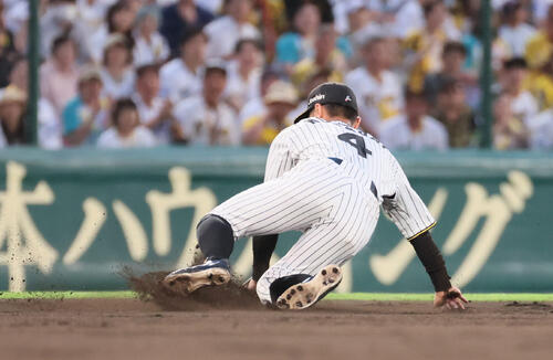 阪神】急な振替でもチケット爆売れ甲子園 「完売」なのに内野に