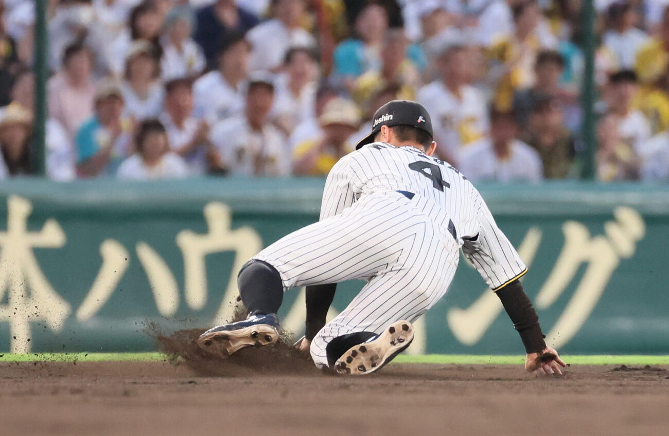 阪神対西武　4回表西武1死一塁、阪神熊谷敬宥はアレクサンダー・カナリオの遊ゴロで好守を見せる（撮影・宮崎幸一）