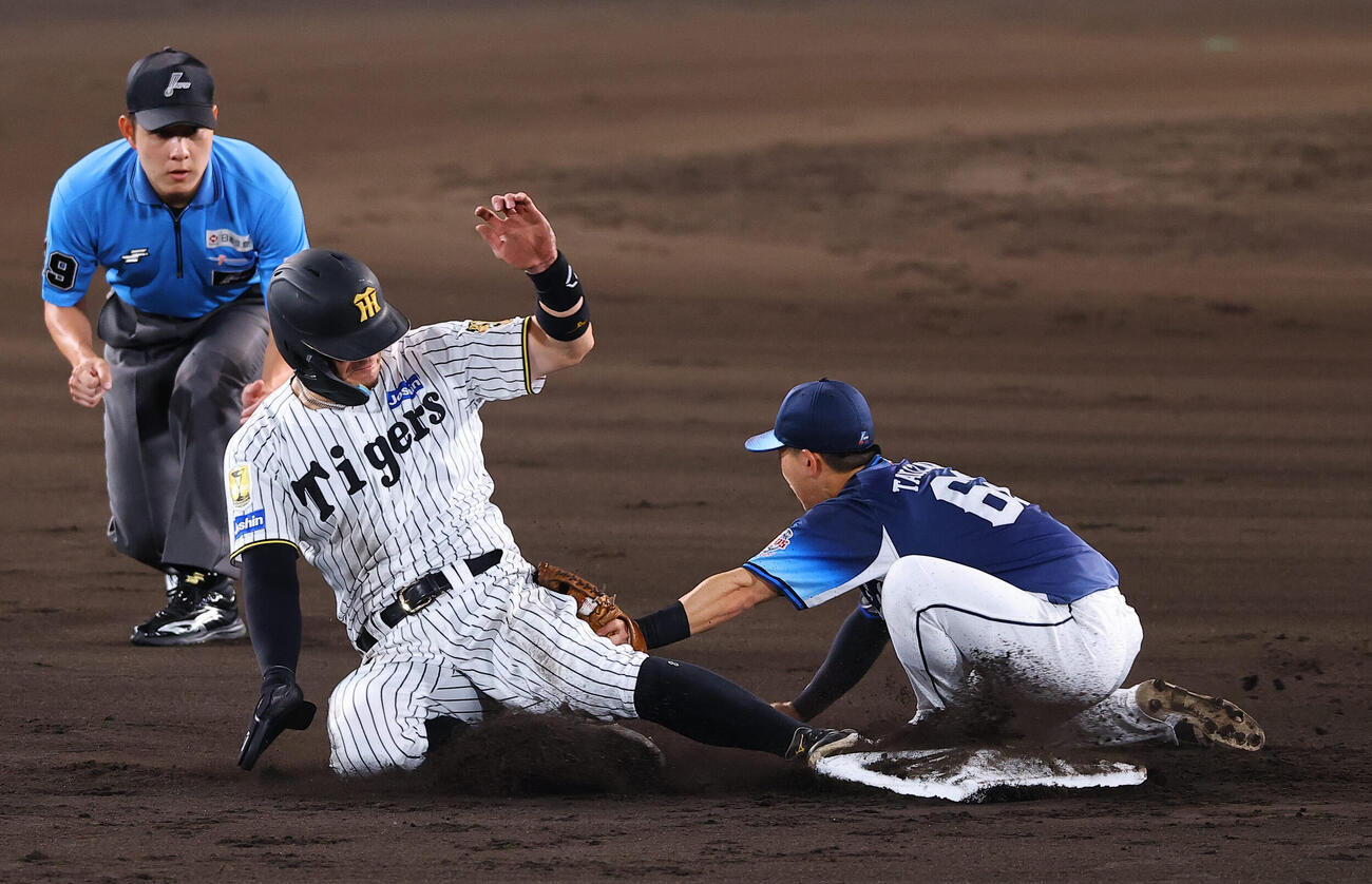 阪神対西武　7回裏阪神1死一塁、佐藤輝明は二盗を試み判定はアウト。しかしリプレー検証で覆りセーフとなる（撮影・上田博志）