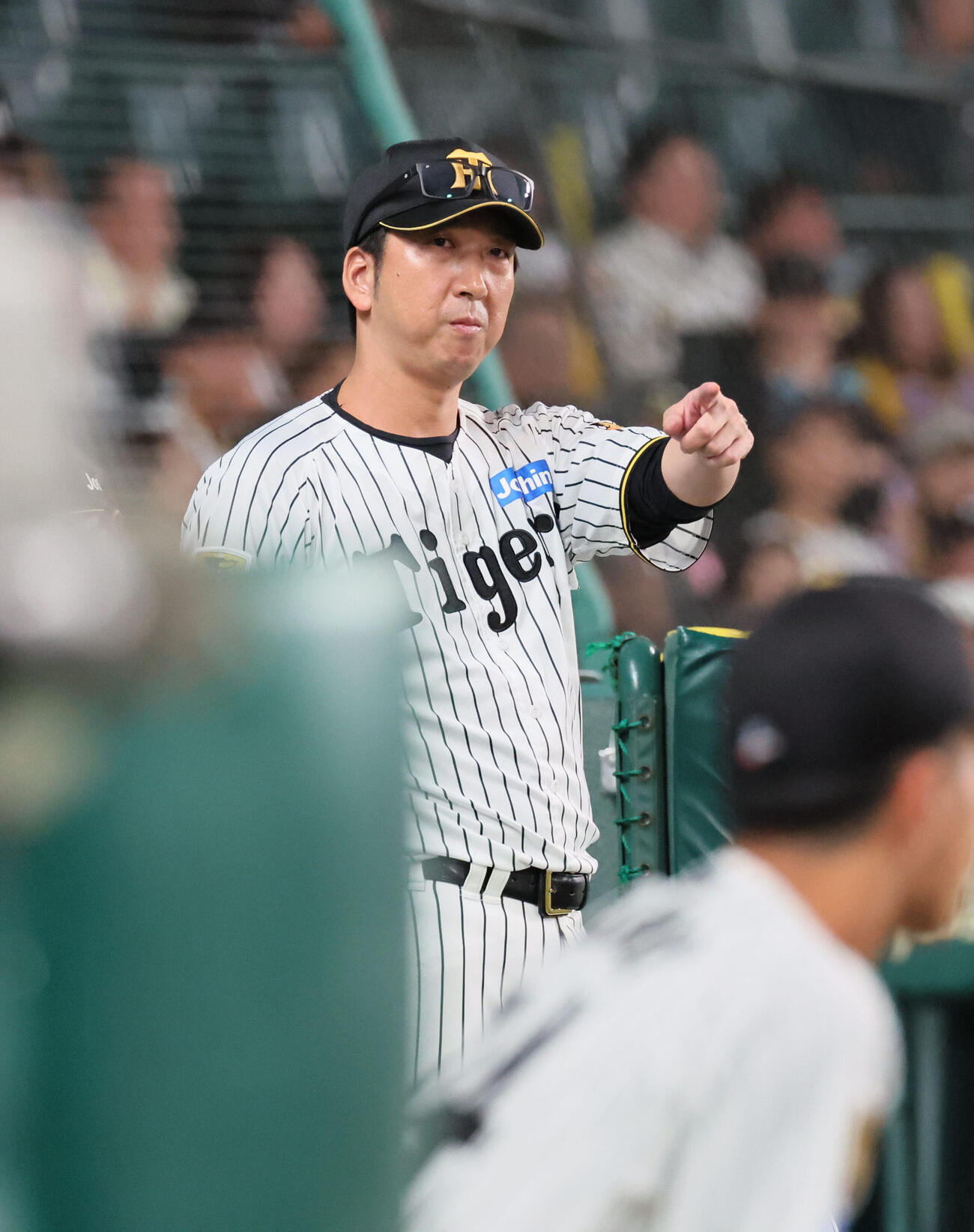 阪神対西武　7回裏阪神2死一、三塁、藤川球児監督は代打嶋村麟士朗を送る（撮影・宮崎幸一）