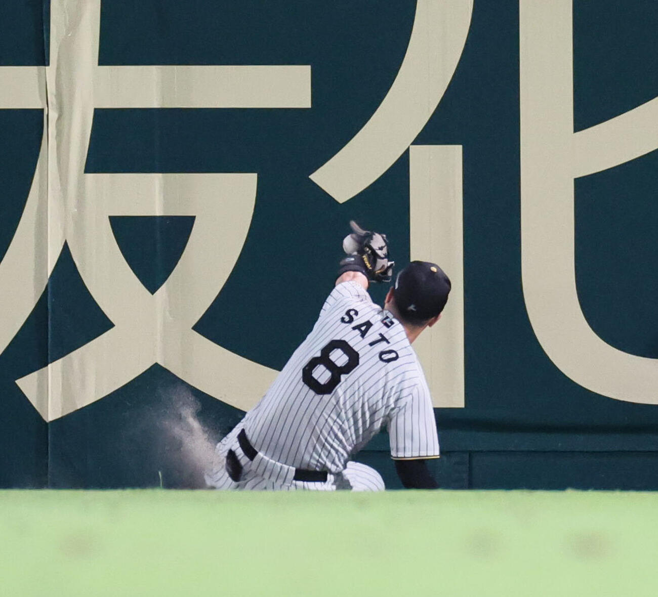 阪神対西武　6回表西武2死一塁、阪神佐藤輝明は石井一成の飛球を好捕する（撮影・宮崎幸一）