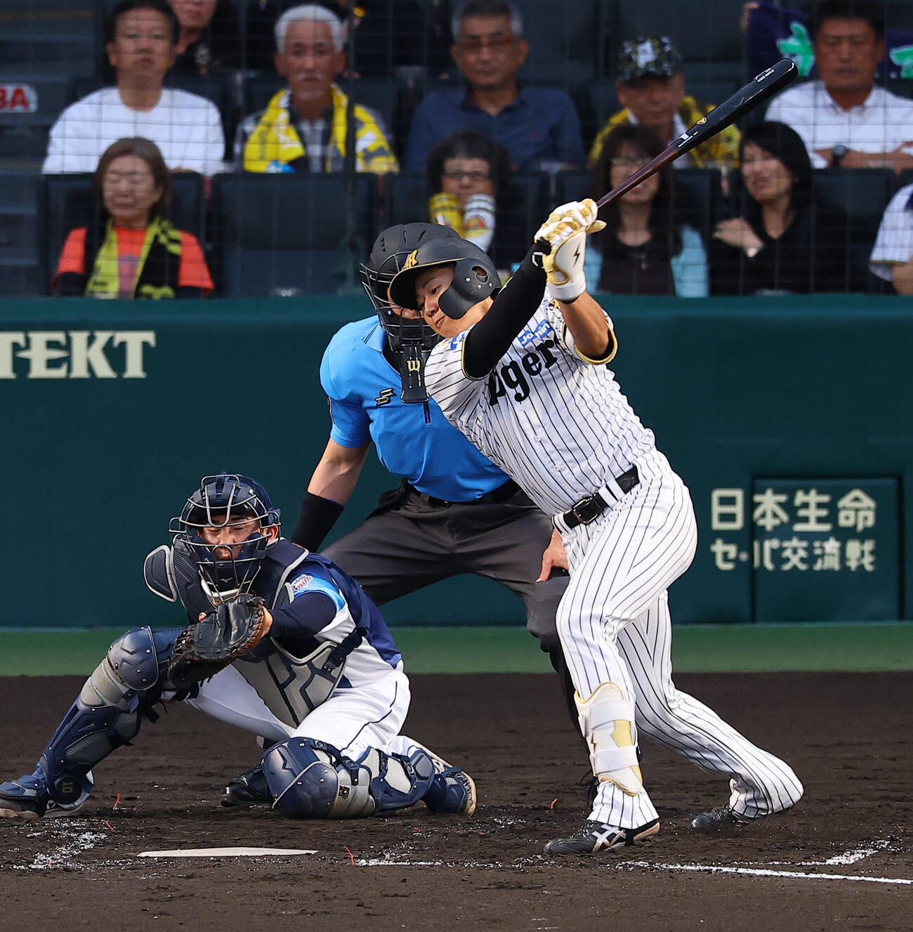 阪神対西武　2回裏阪神1死一塁、立石正広は三振に倒れる（撮影・上田博志).♯2026年6月16日、甲子園球場、阪神対西武交流戦第3戦